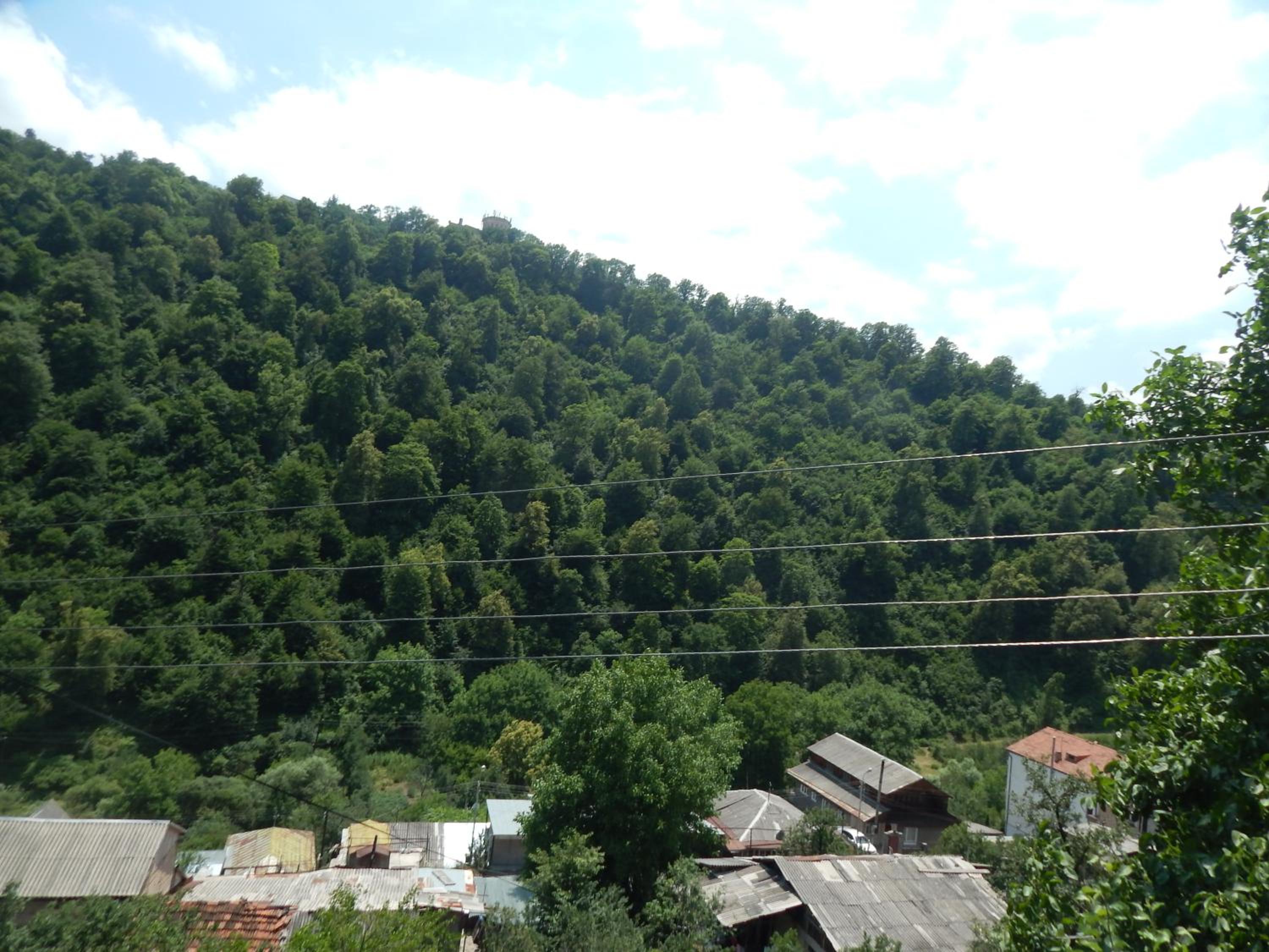 Arami Guest House
