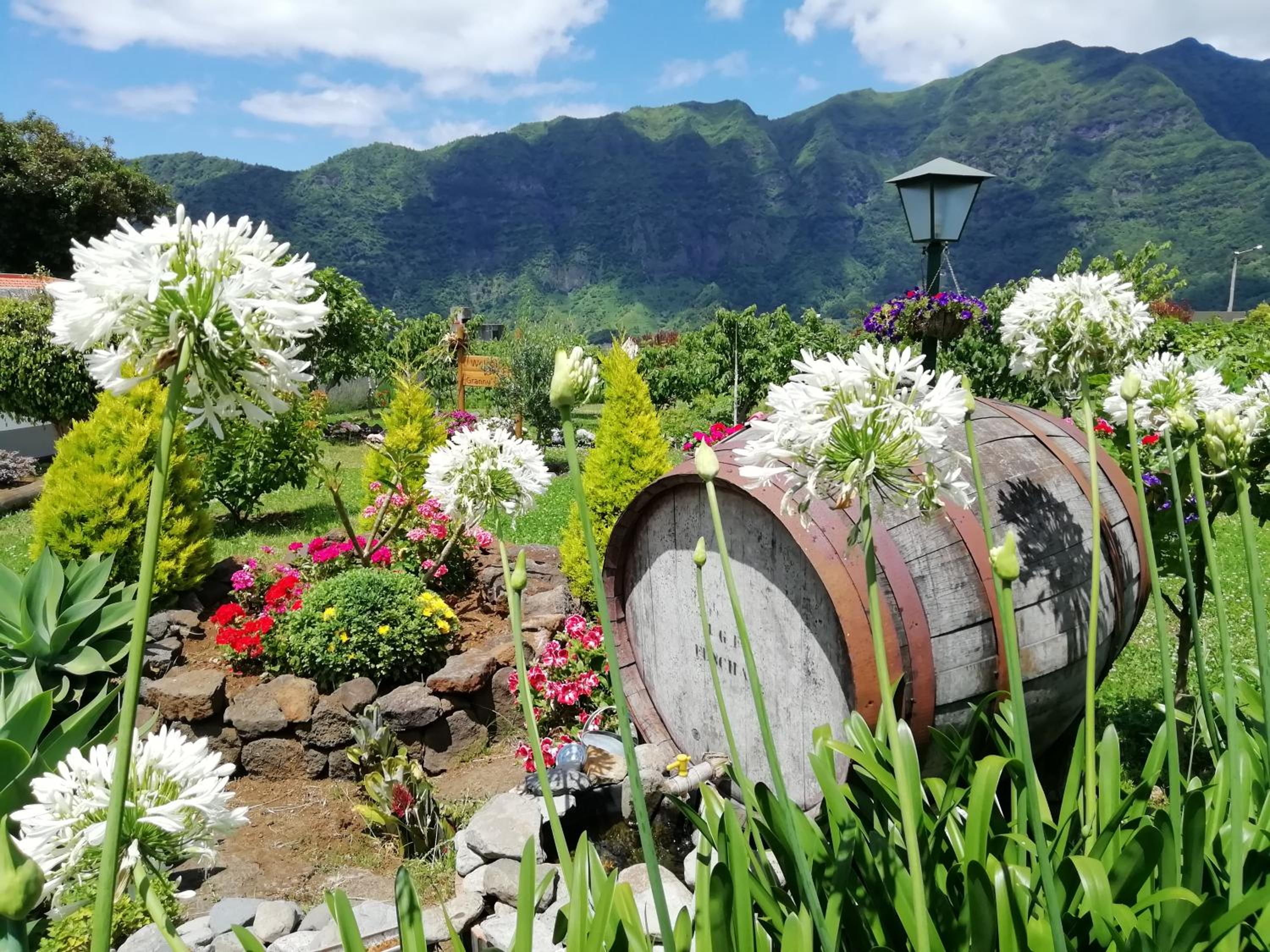 Granny's farm view 3