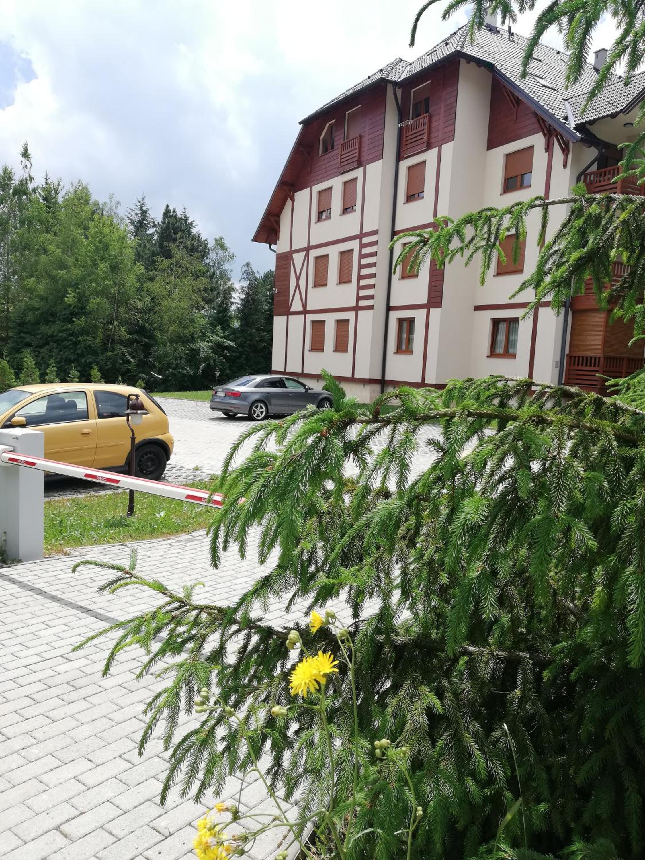 Photo 11