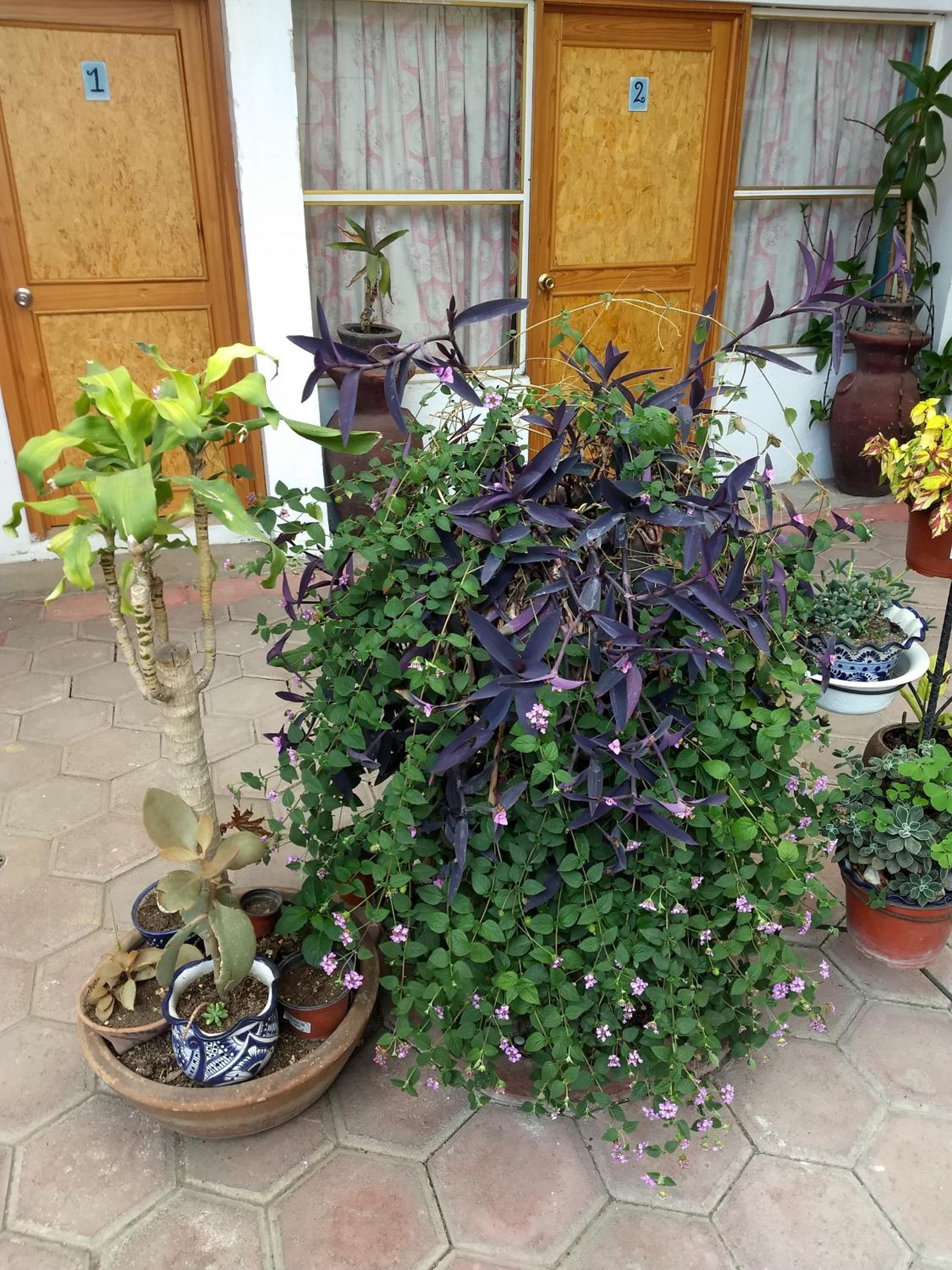Photo 19