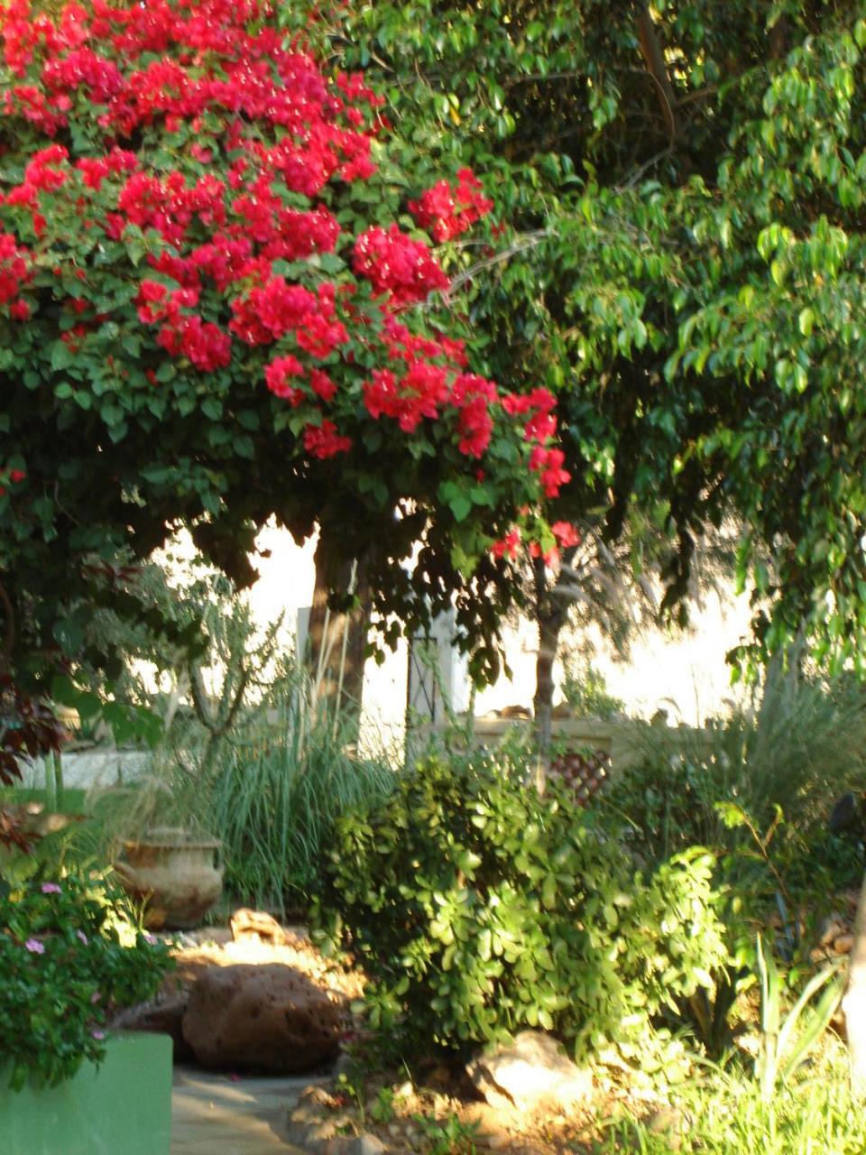 Corona Guest Farm