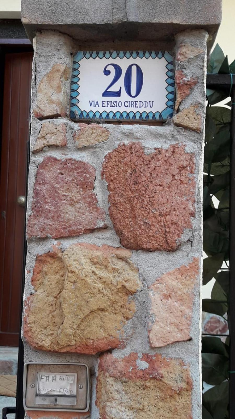 Photo 41
