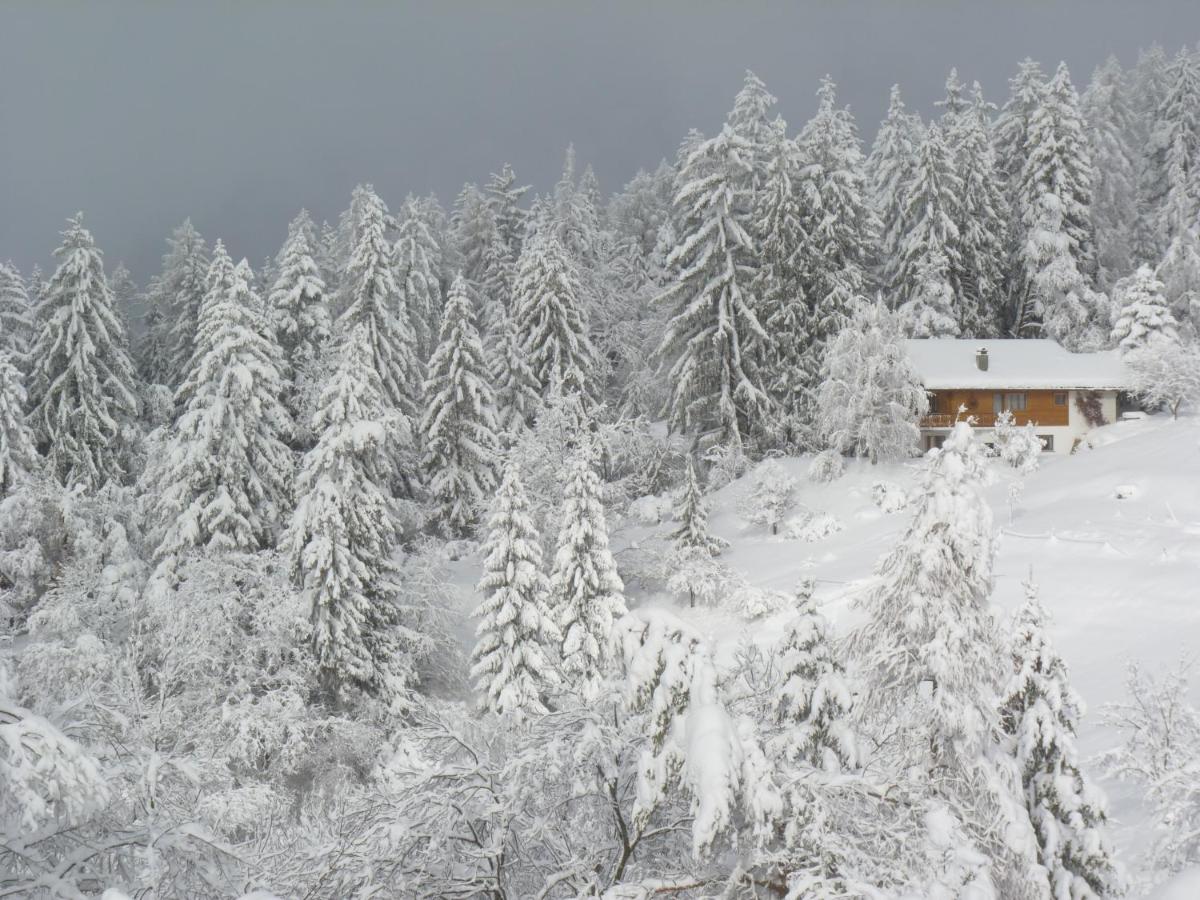 Chalet des Alpes