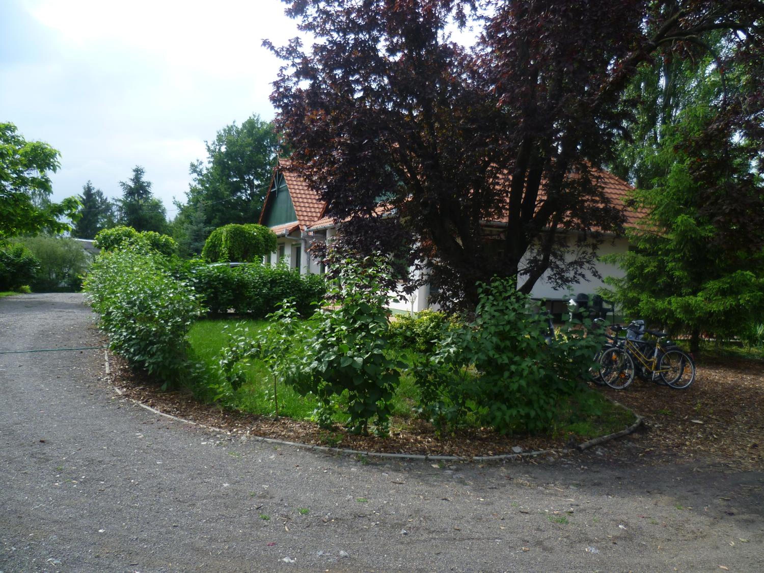 Photo 24