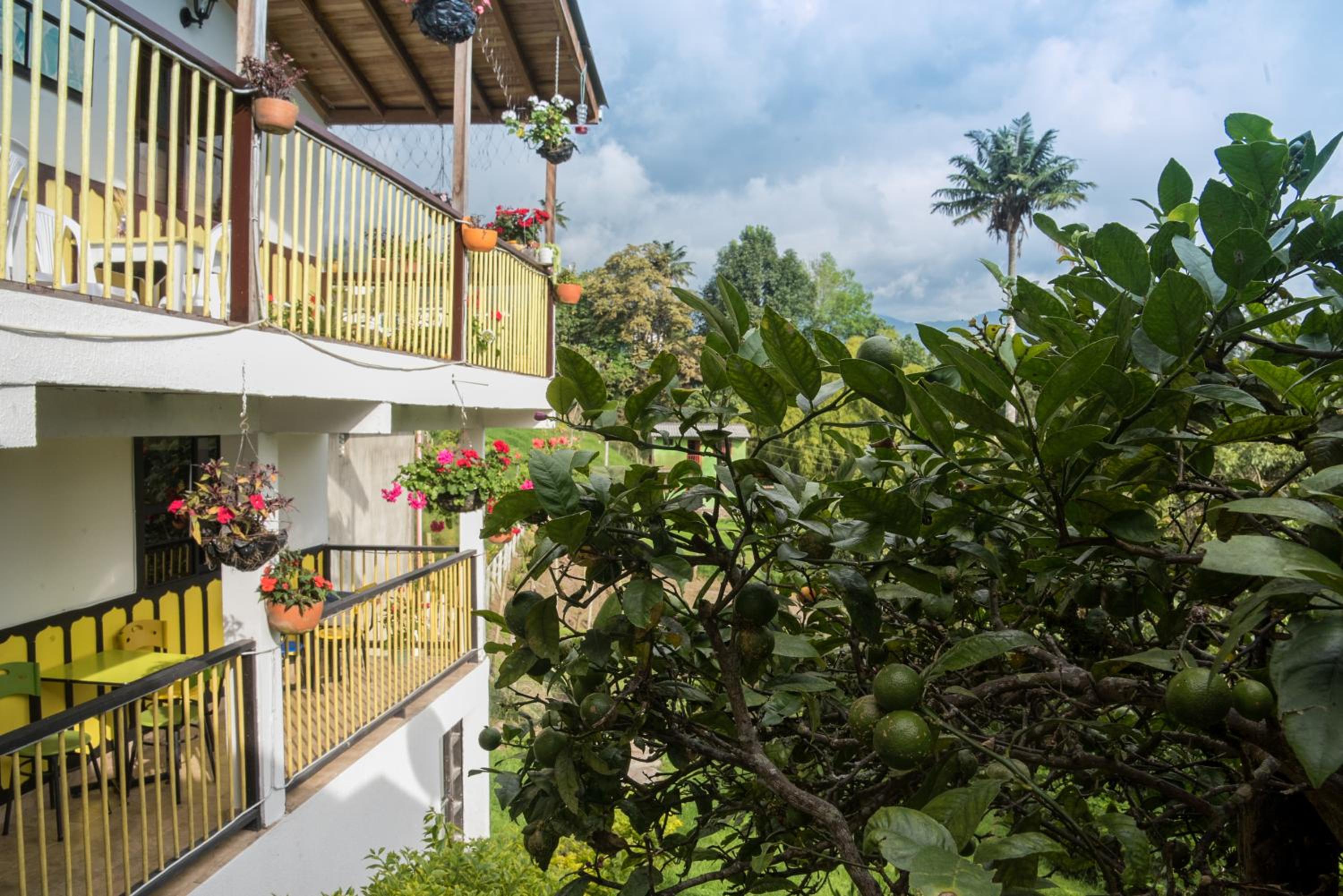 La Posada de La Abuela Salento