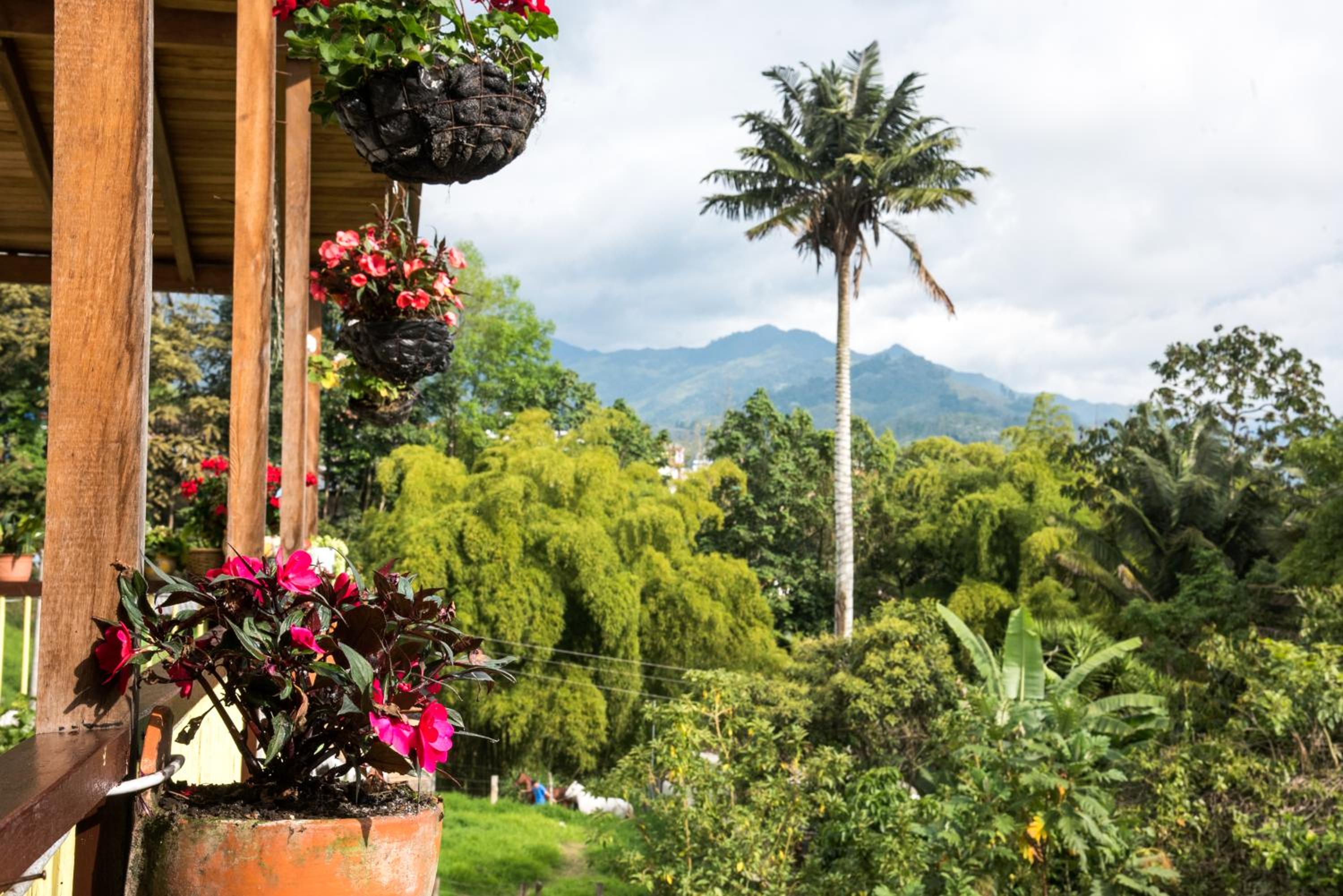 La Posada de La Abuela Salento