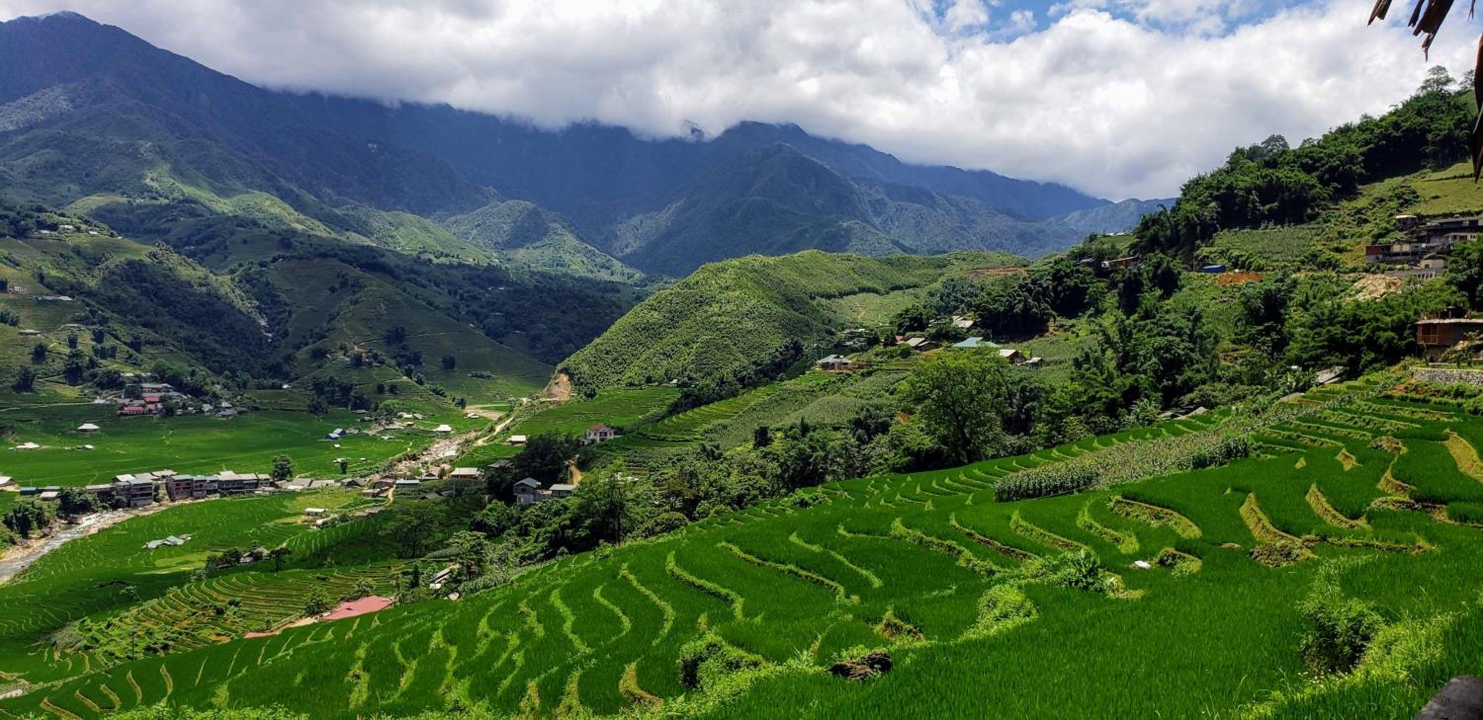 Eco Palms House - Sapa Retreat