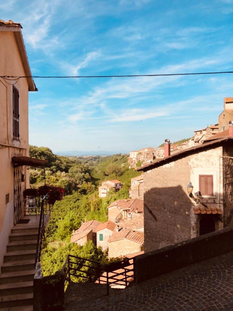 BON BON view 4