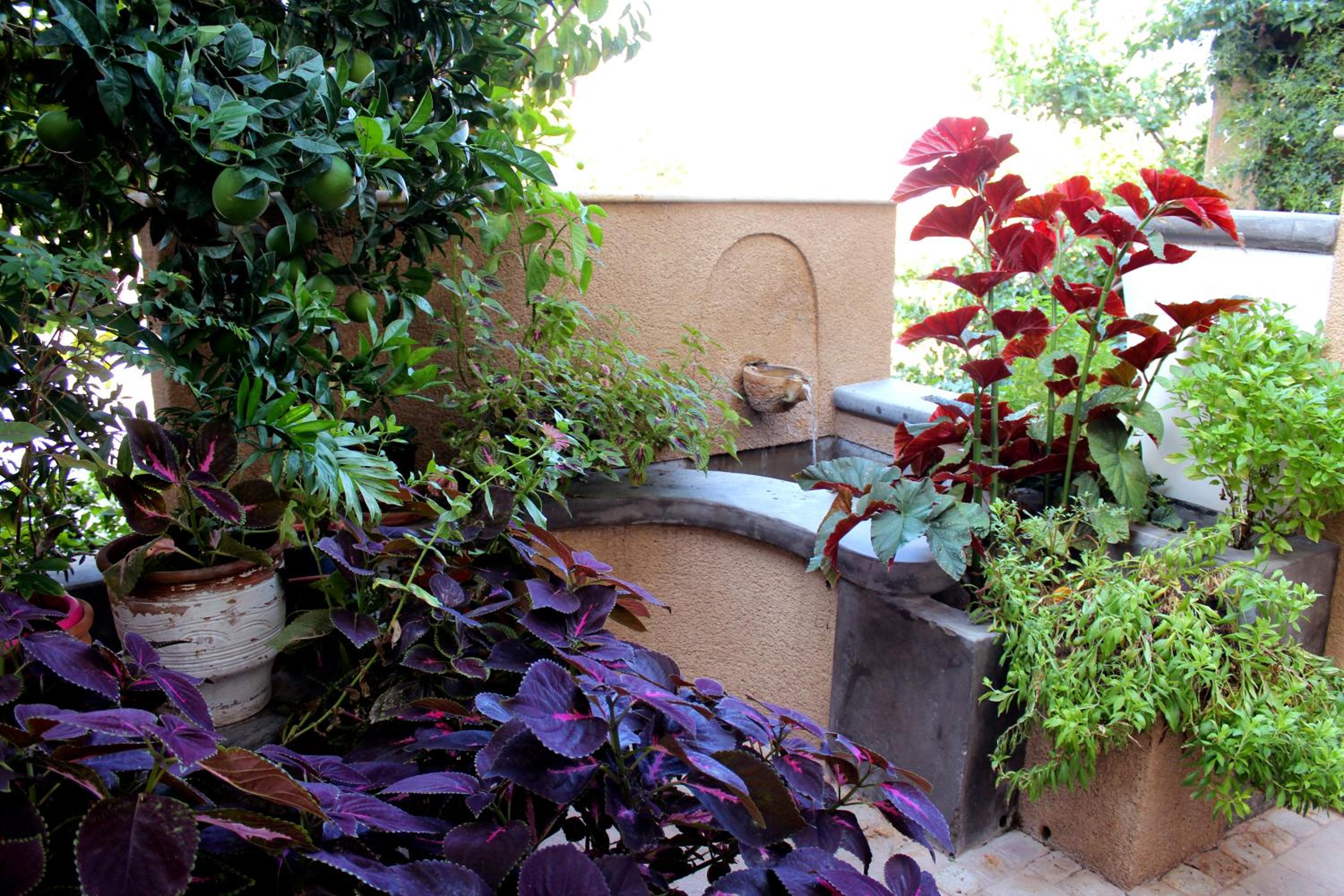 garden