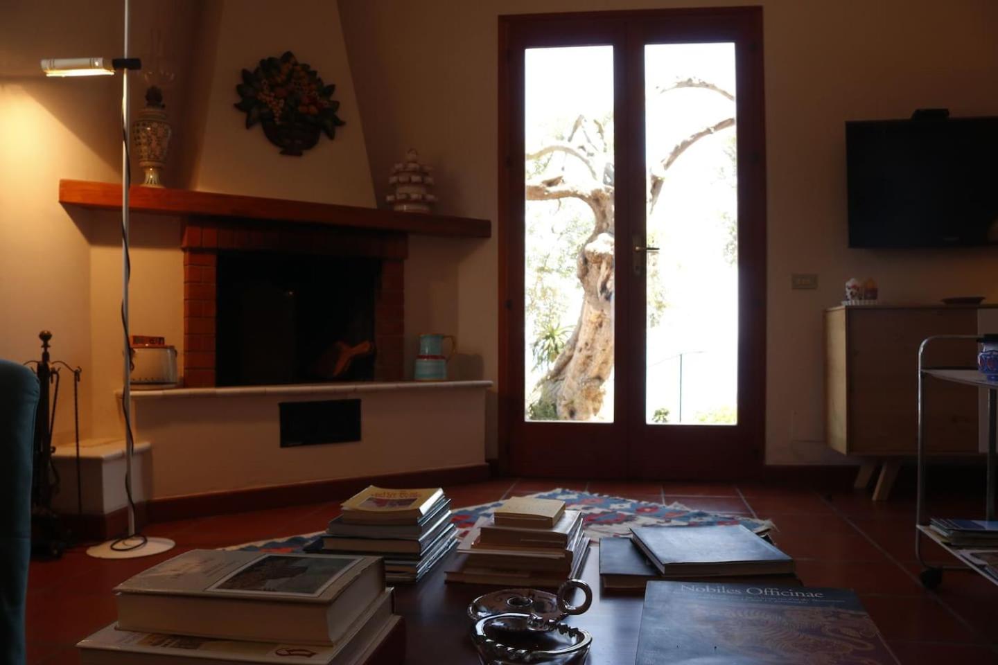 Photo 8