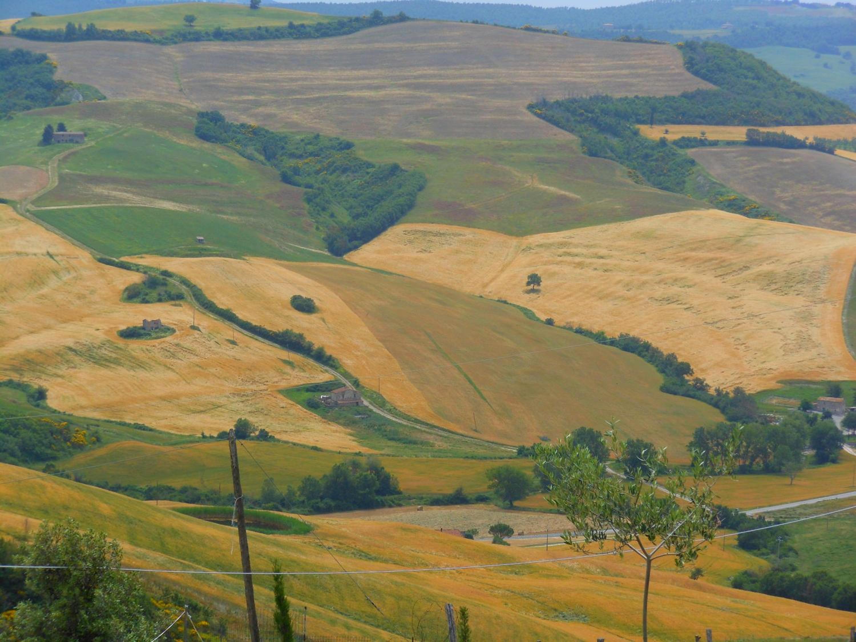 Agriturismo Collomici