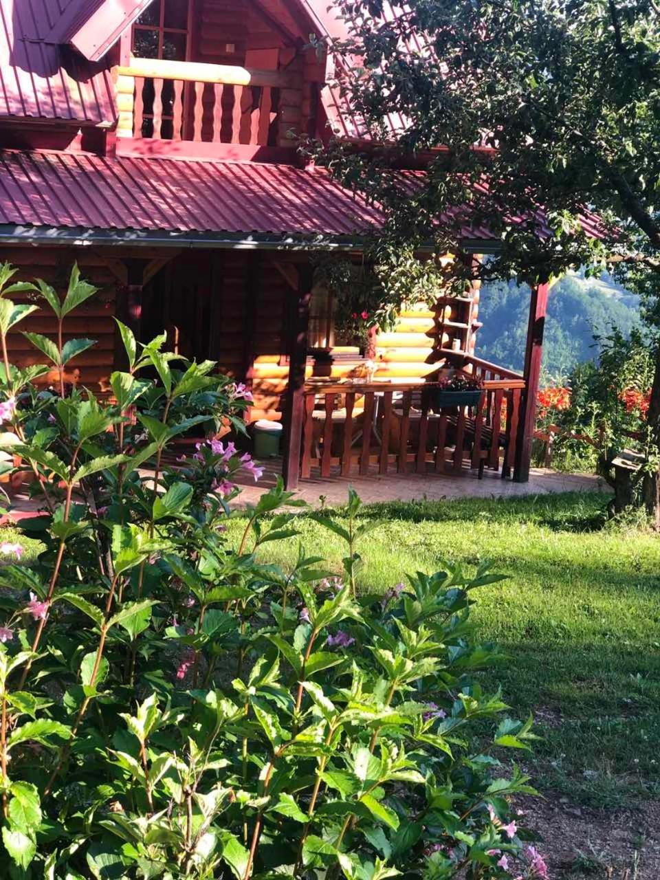 Photo 127