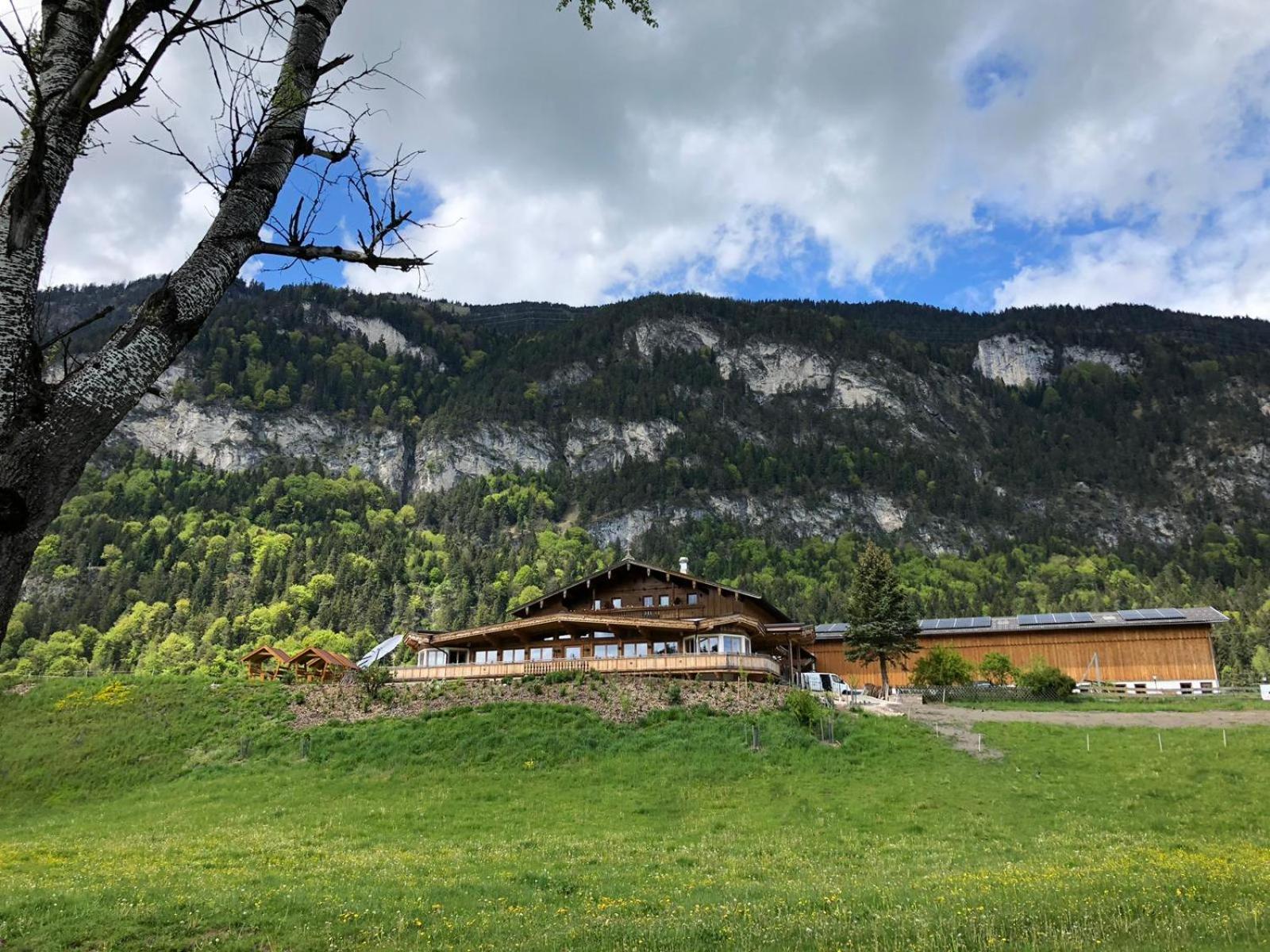 Haflingerhof