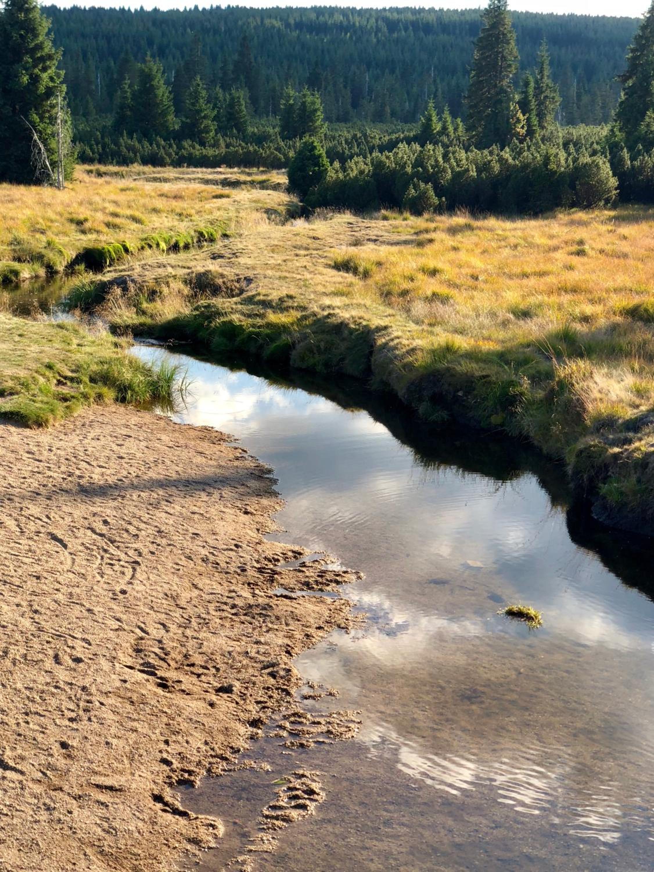 Penzion Zrzka