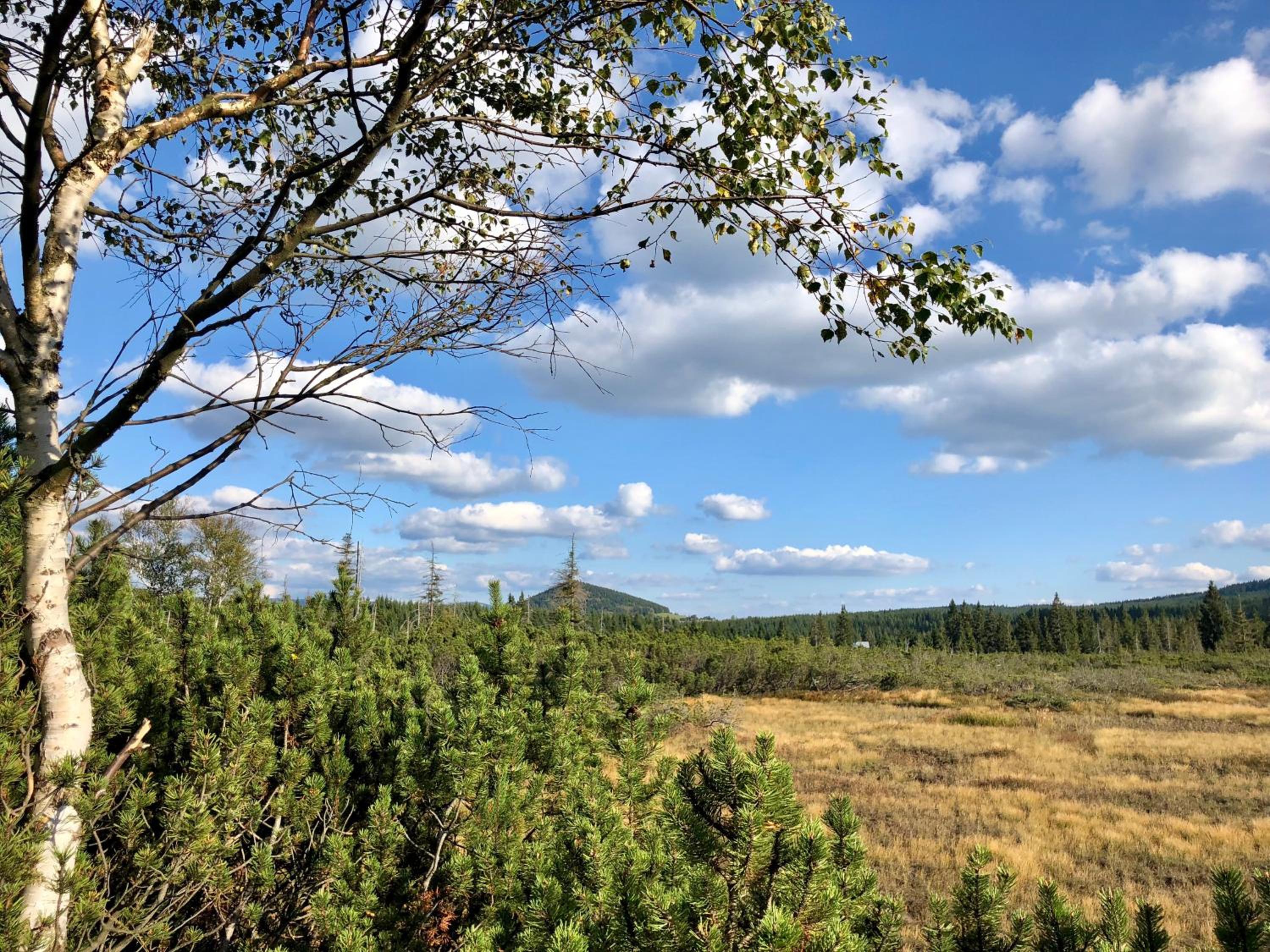 Penzion Zrzka