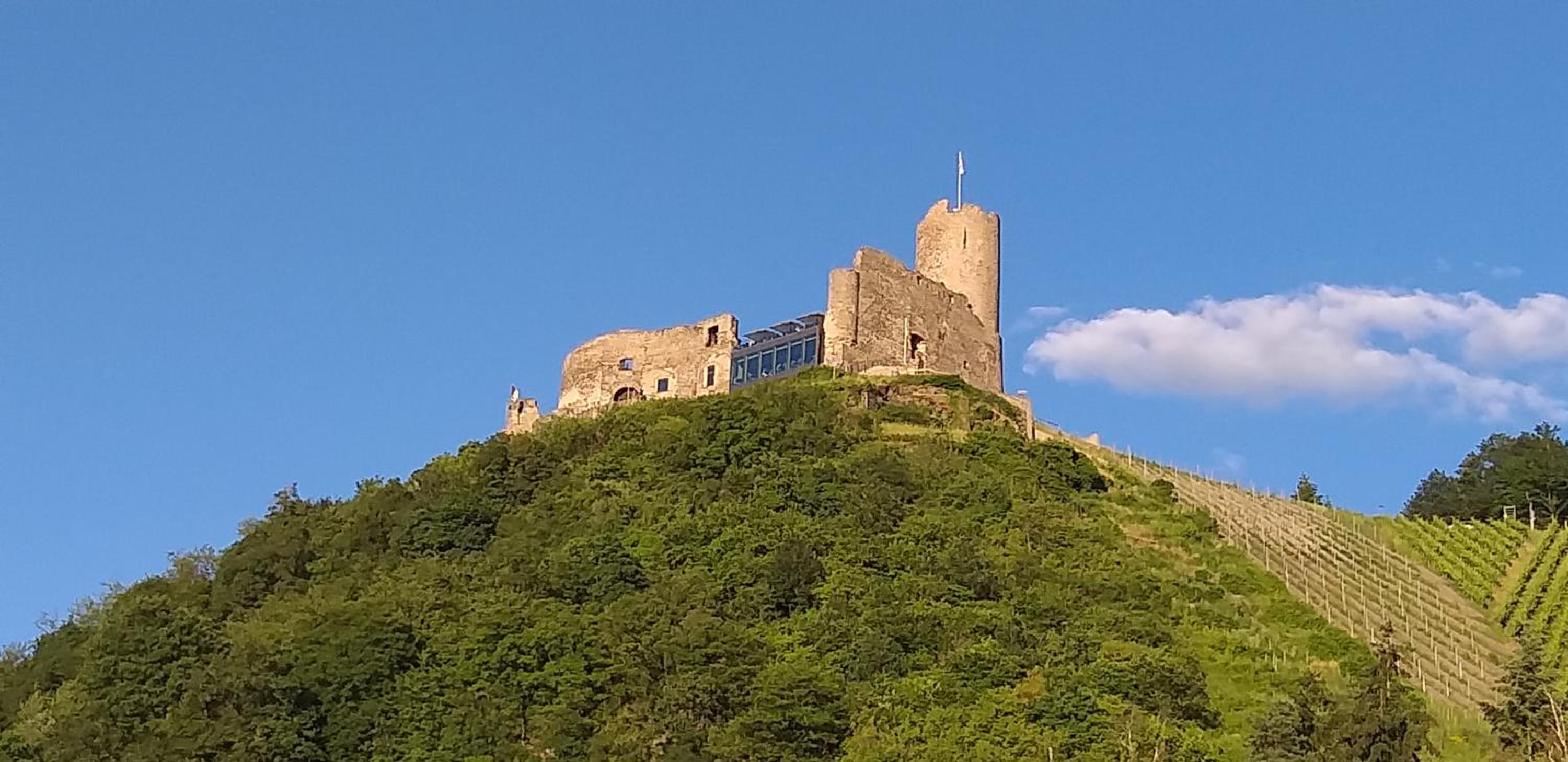 Mosel-Auszeit