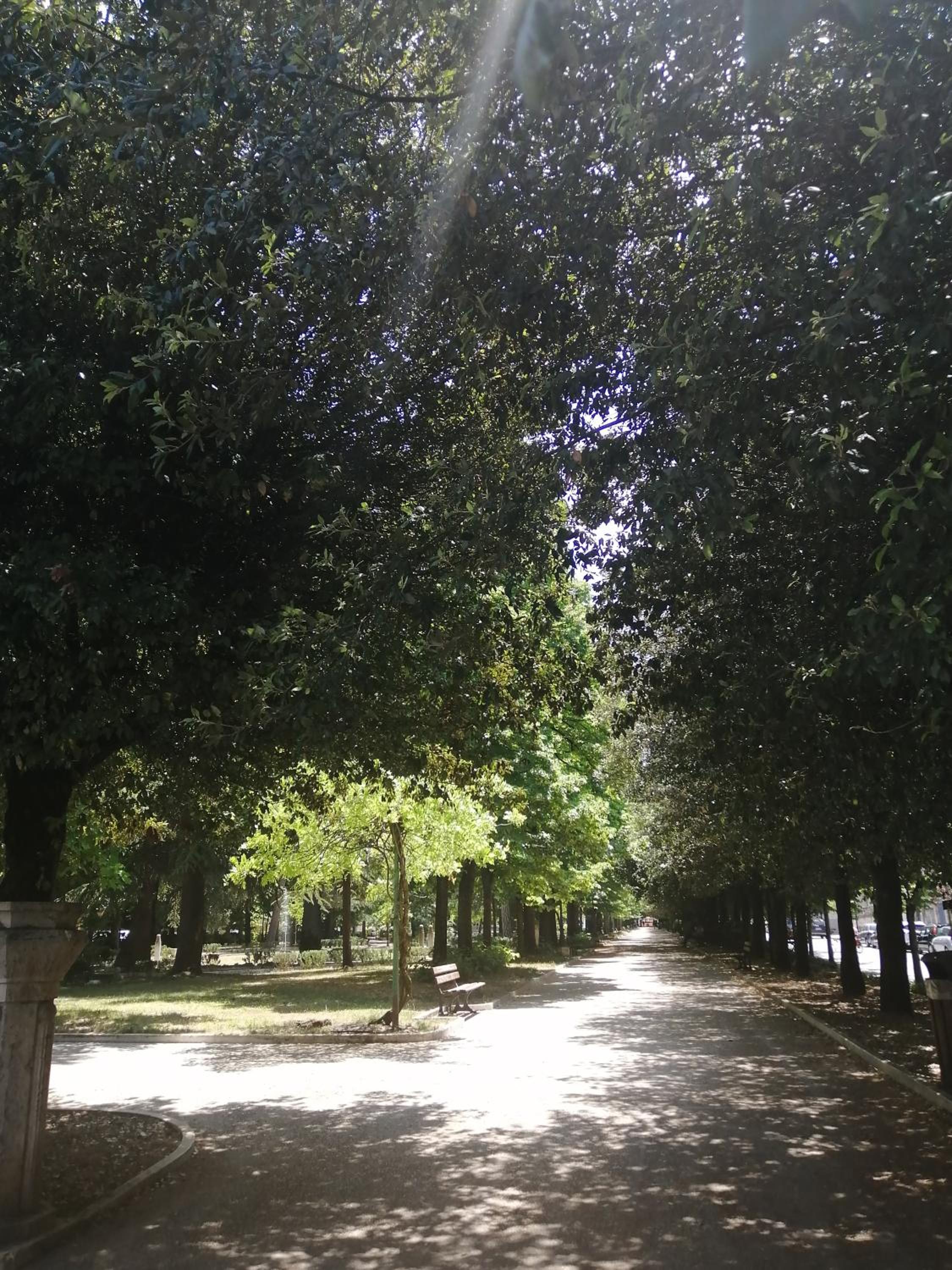 Photo 47