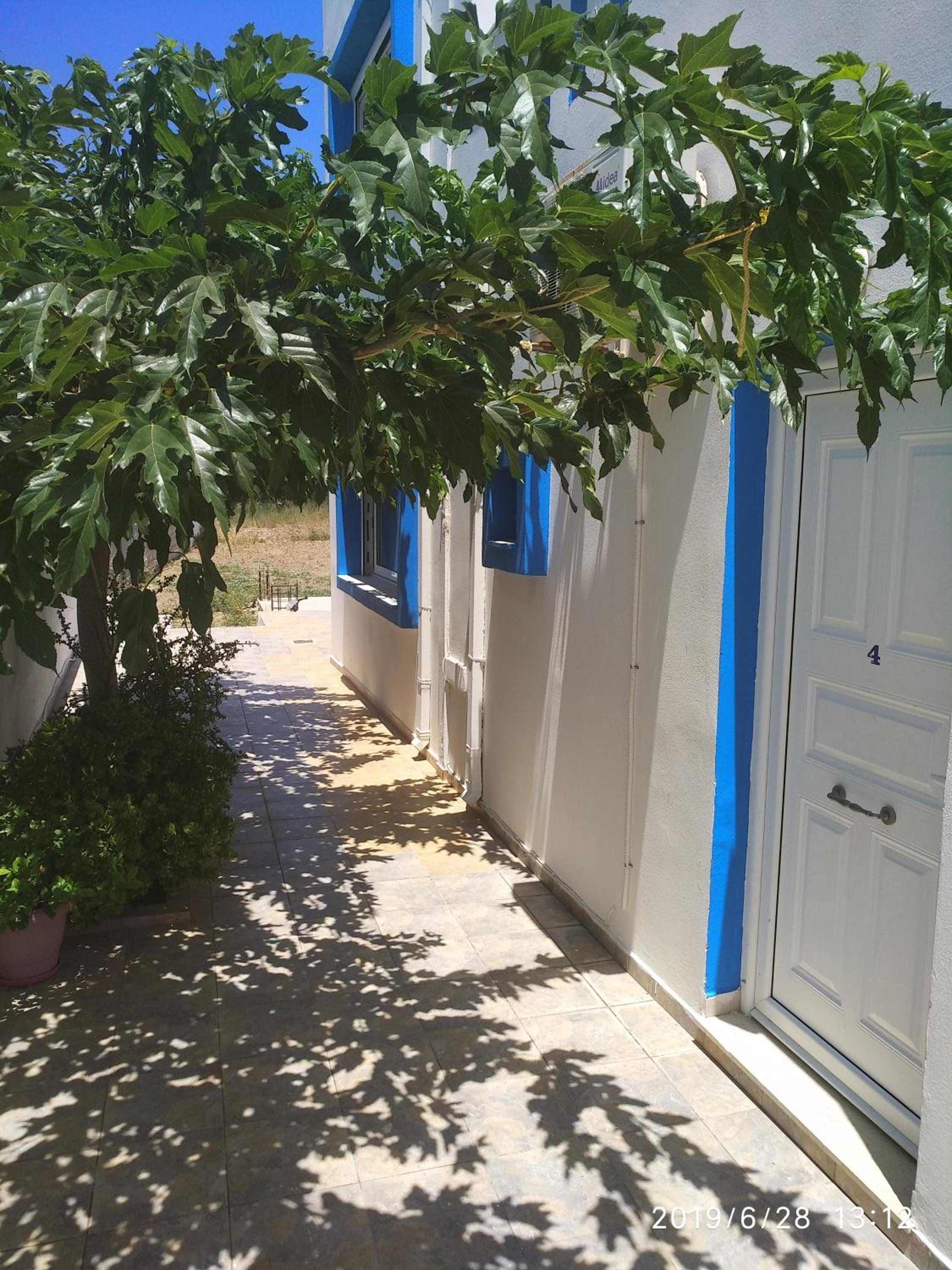 Photo 8