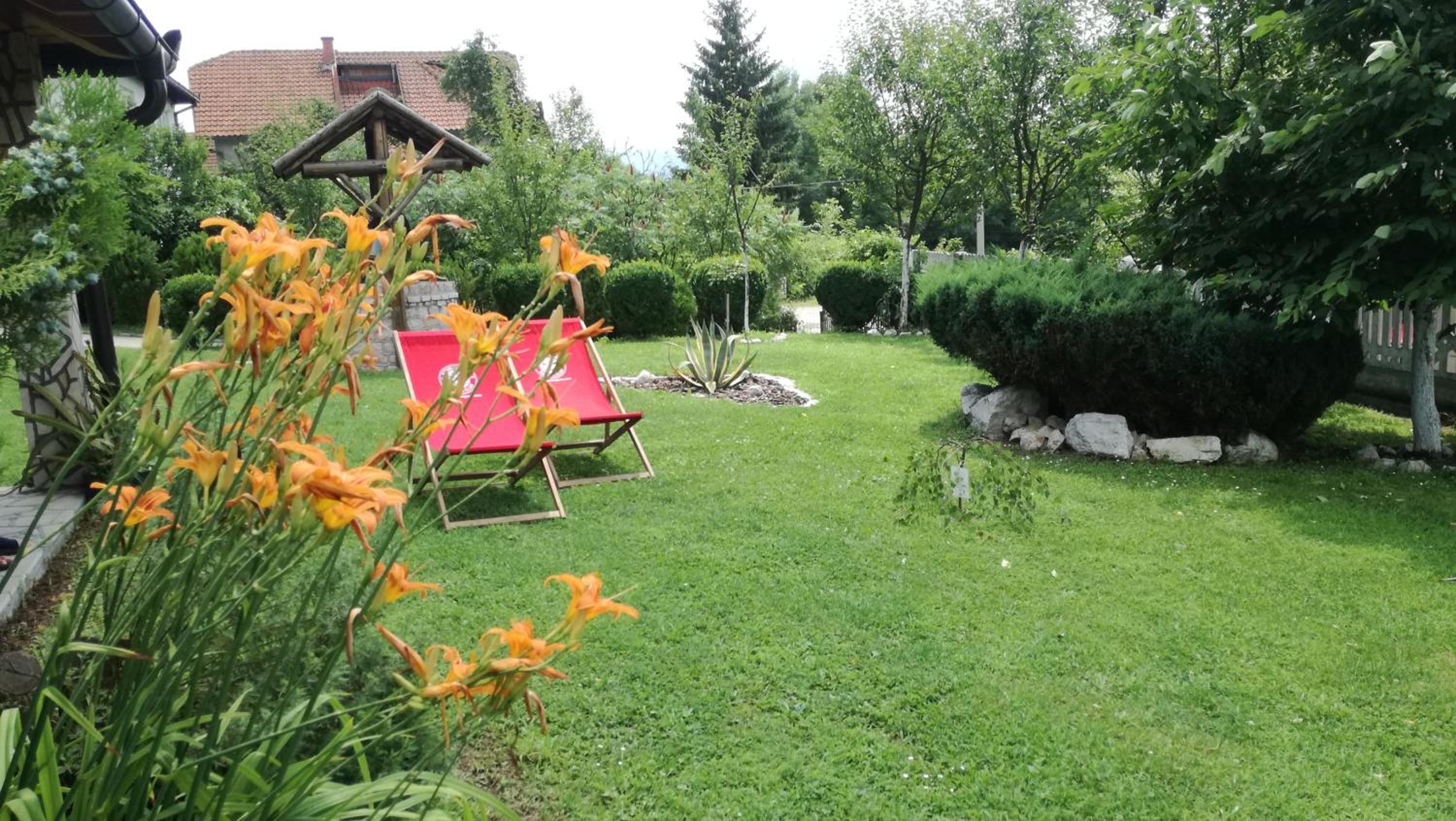 Apartments Dedic