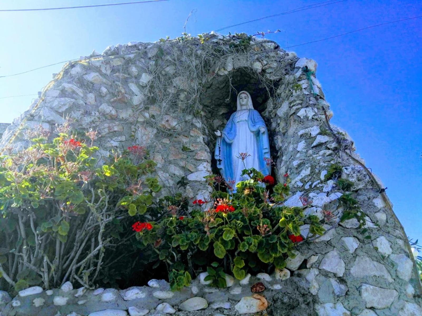 Photo 42