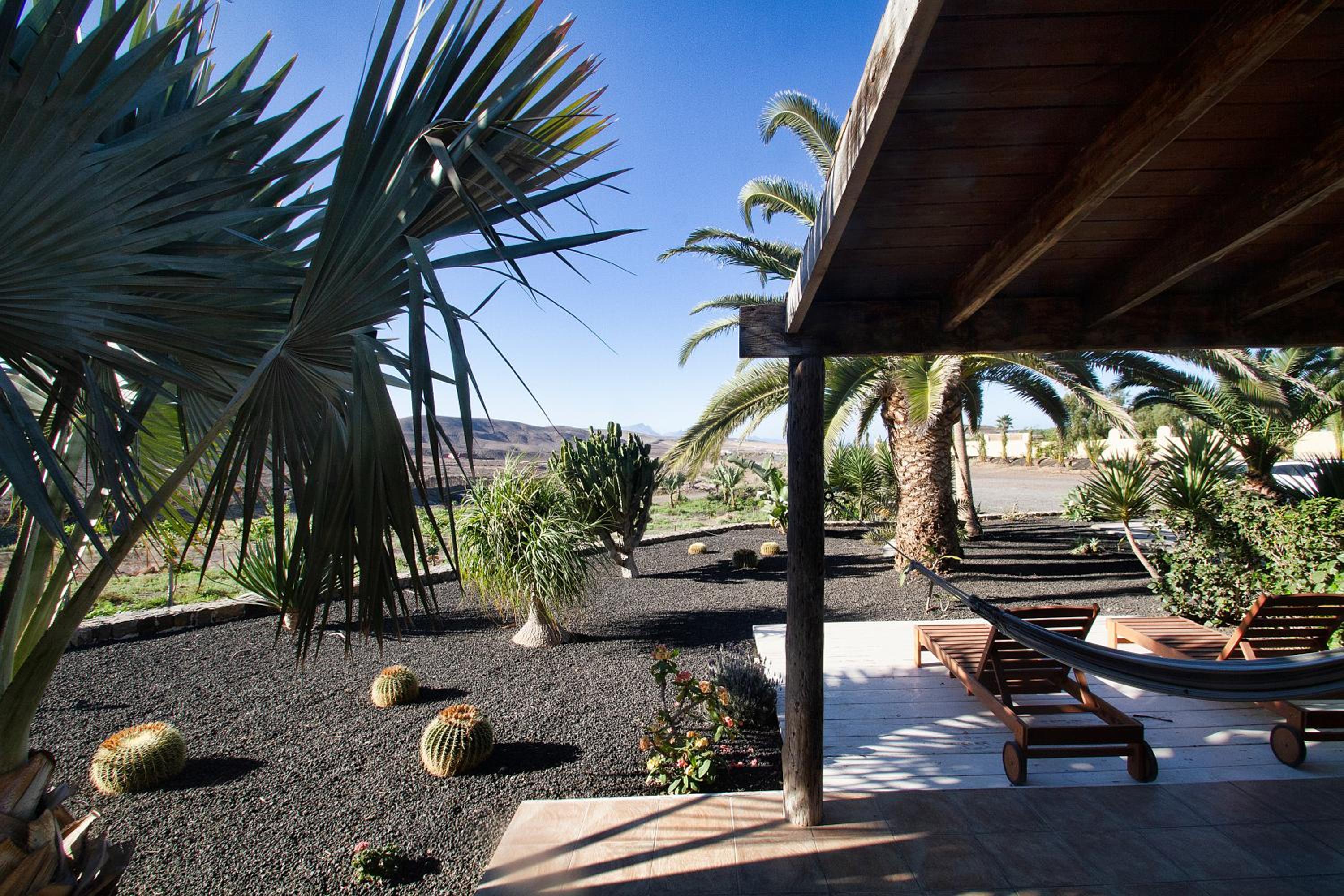 Finca Arbequina view 5