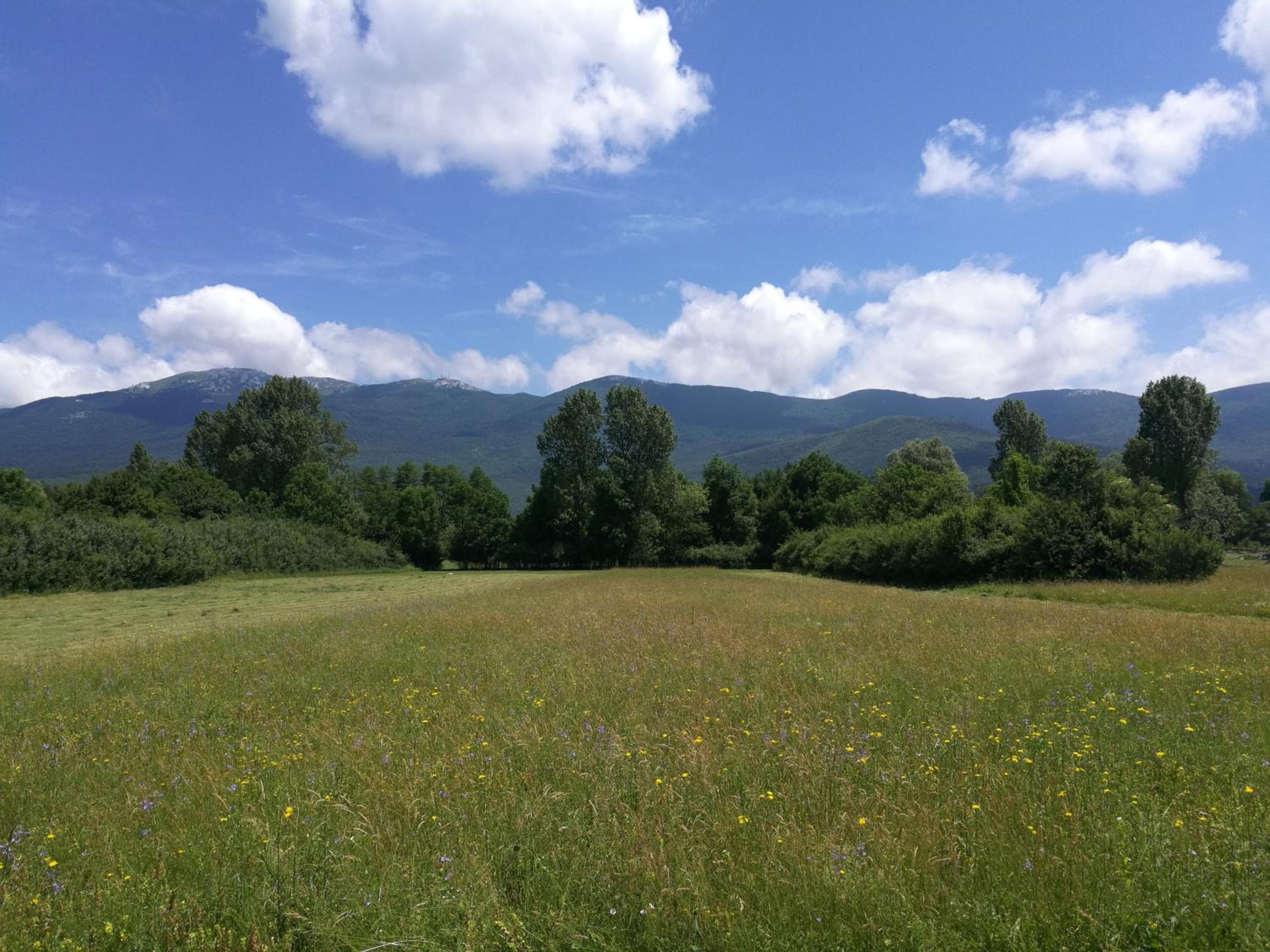 Stari mlin view 5