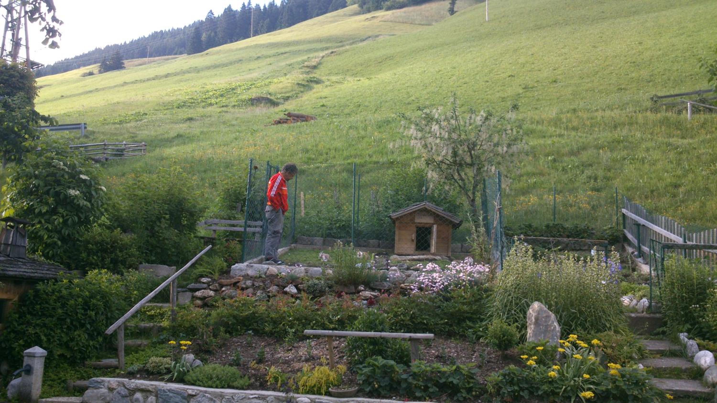 Photo 32