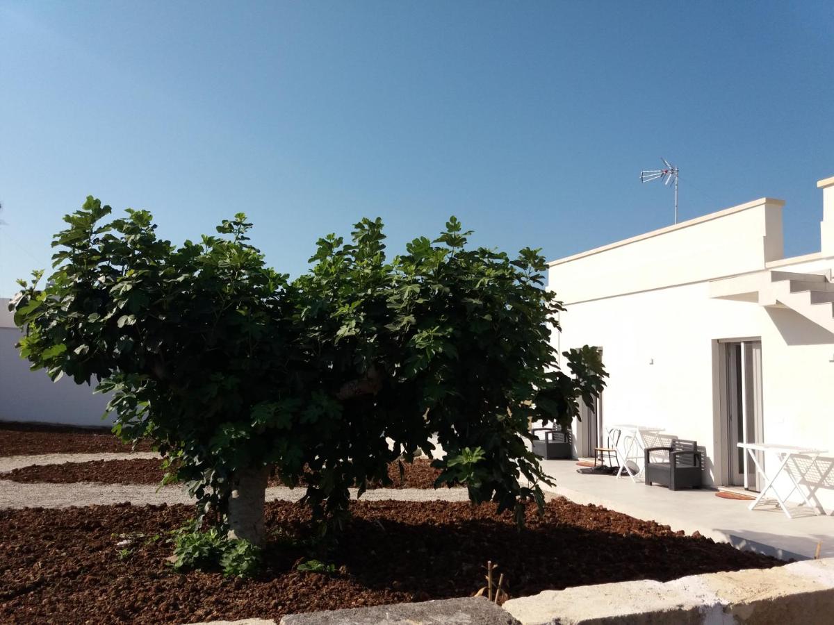 B&b Terra e Mare a Porto Cesareo view 5