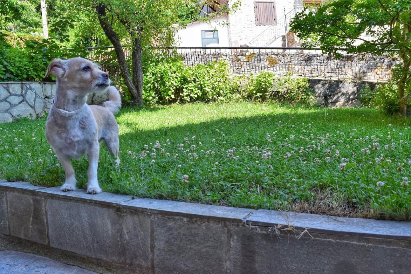 Photo 22