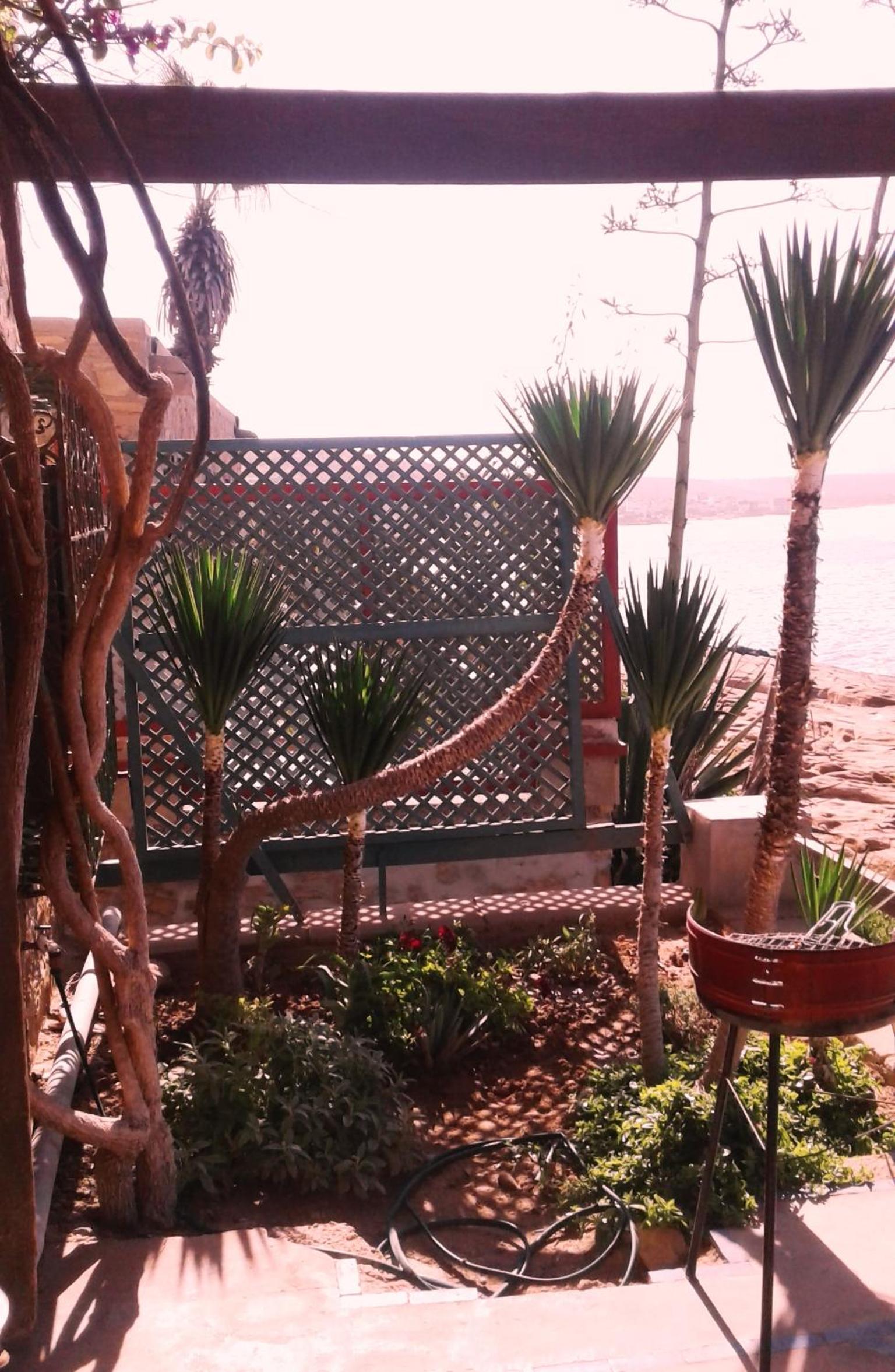 Photo 44