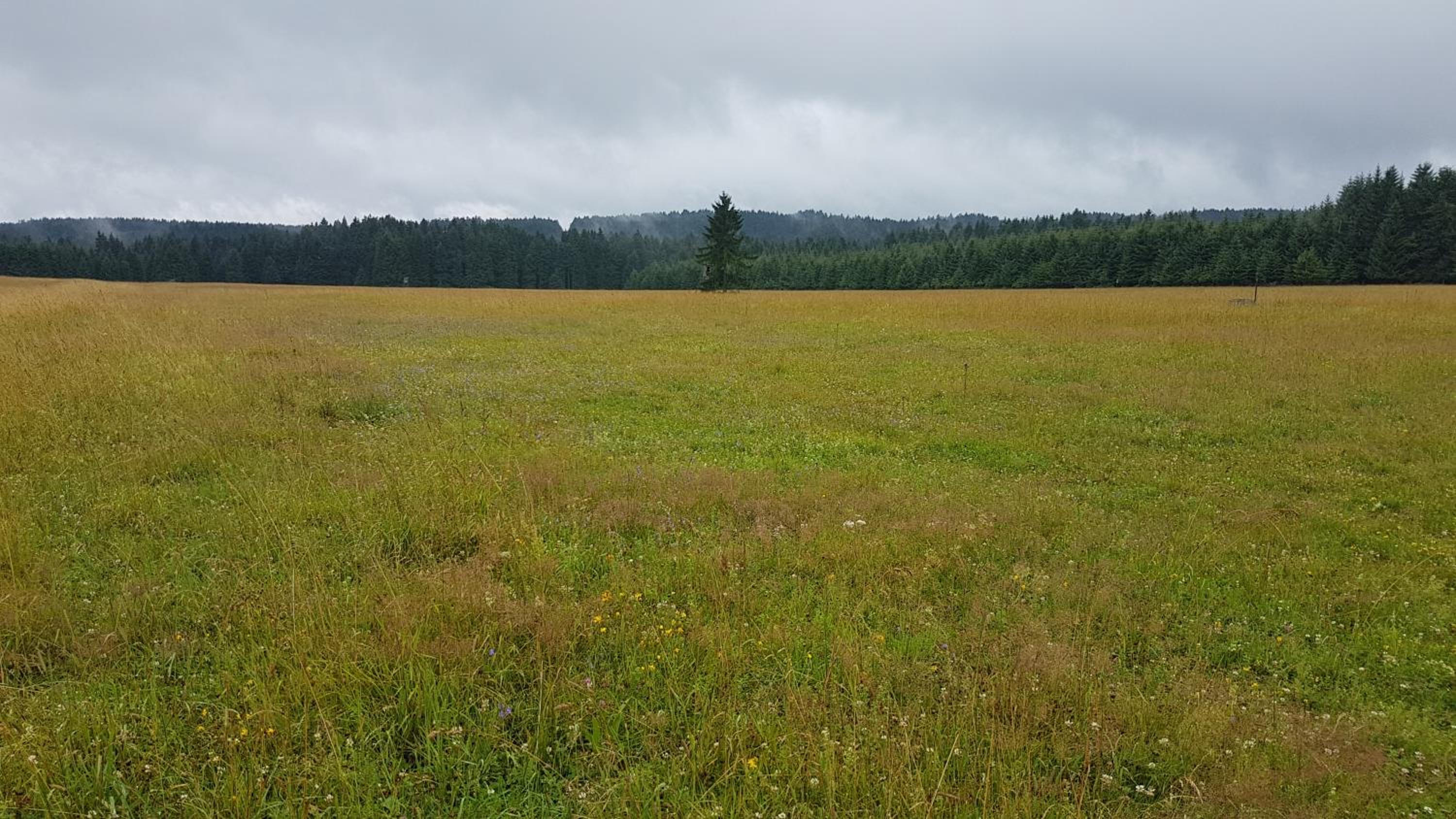 Apartmán U kolonády