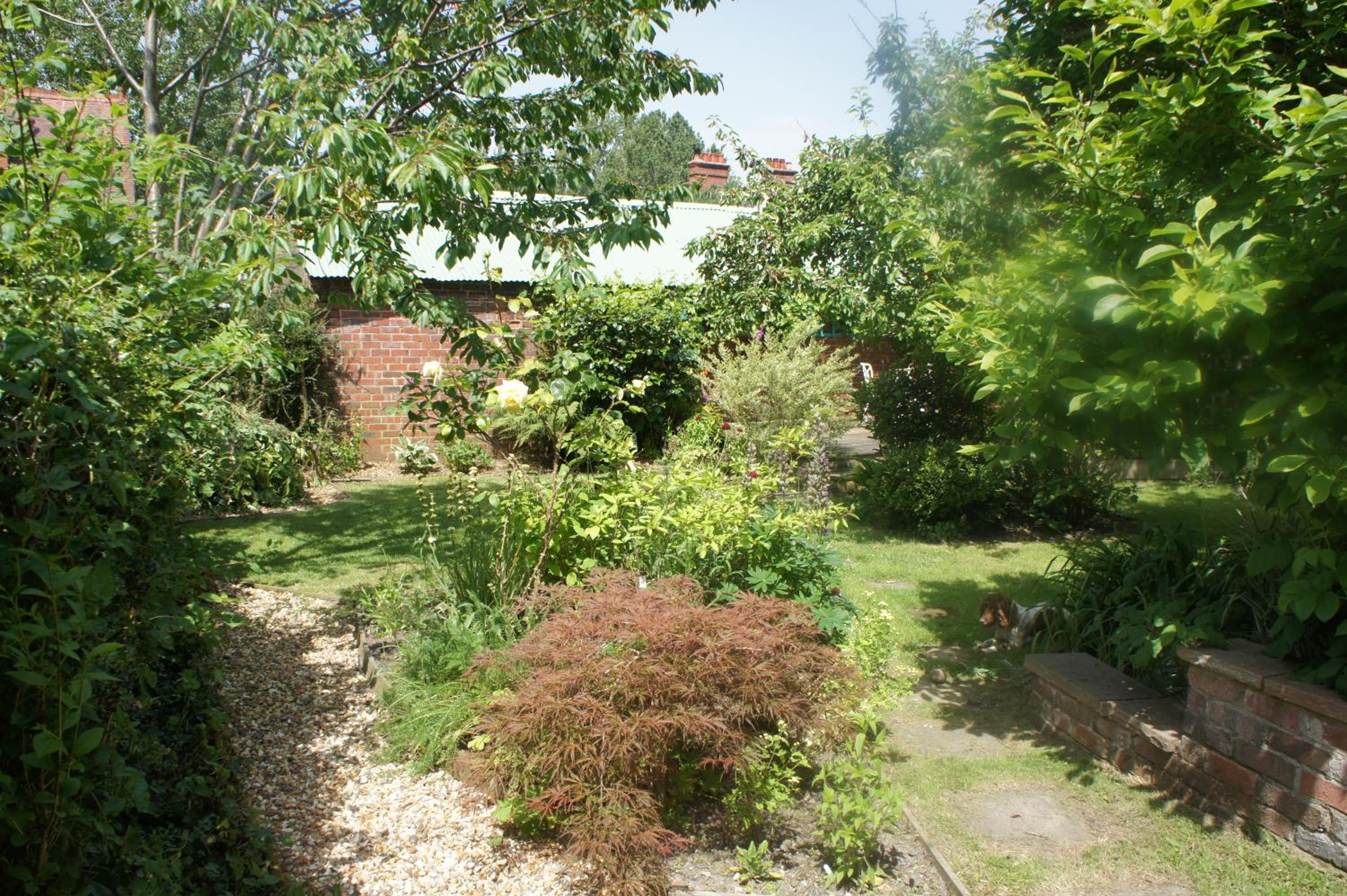 Photo 15