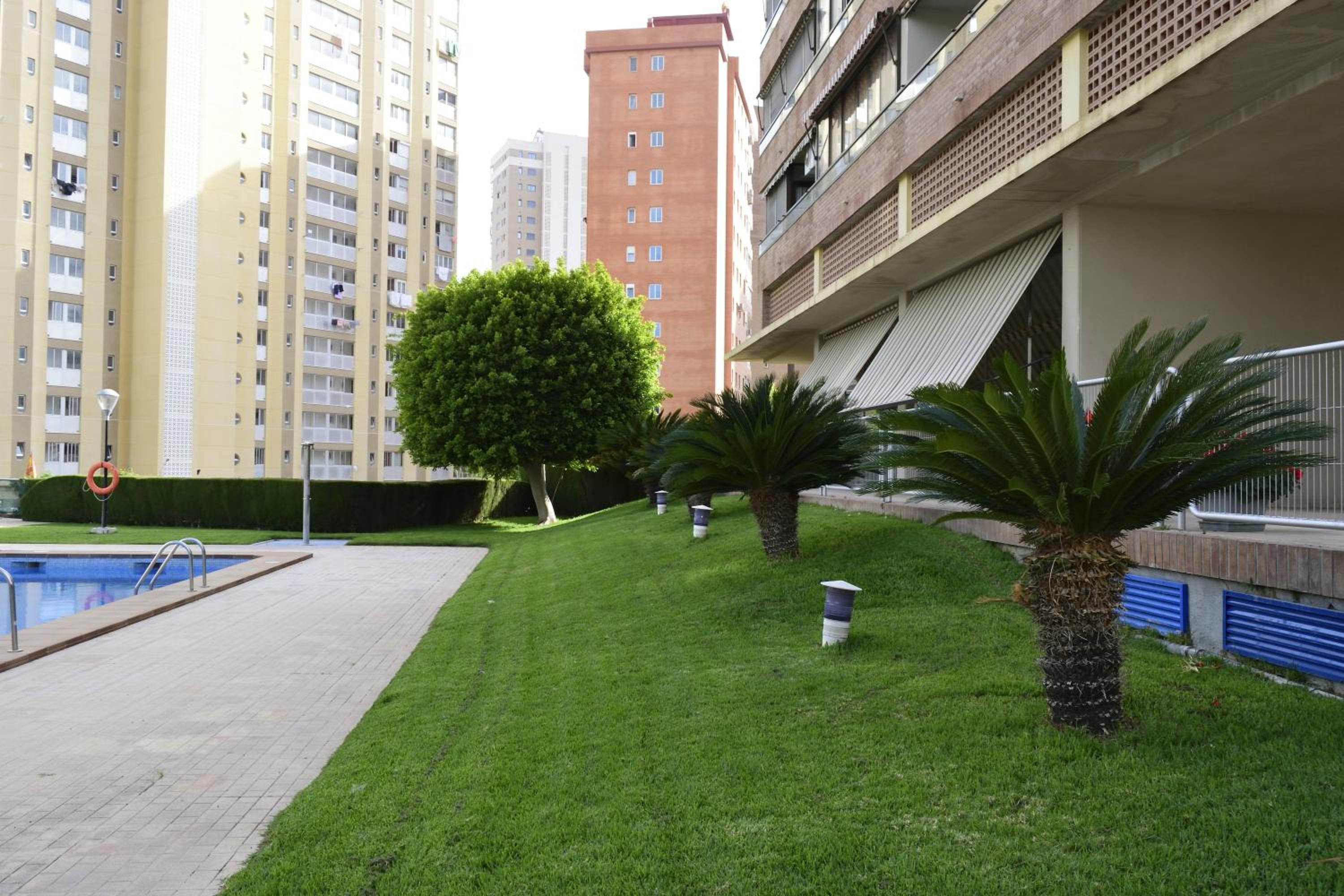 Paraiso Esperanto - Fincas Arena view 4