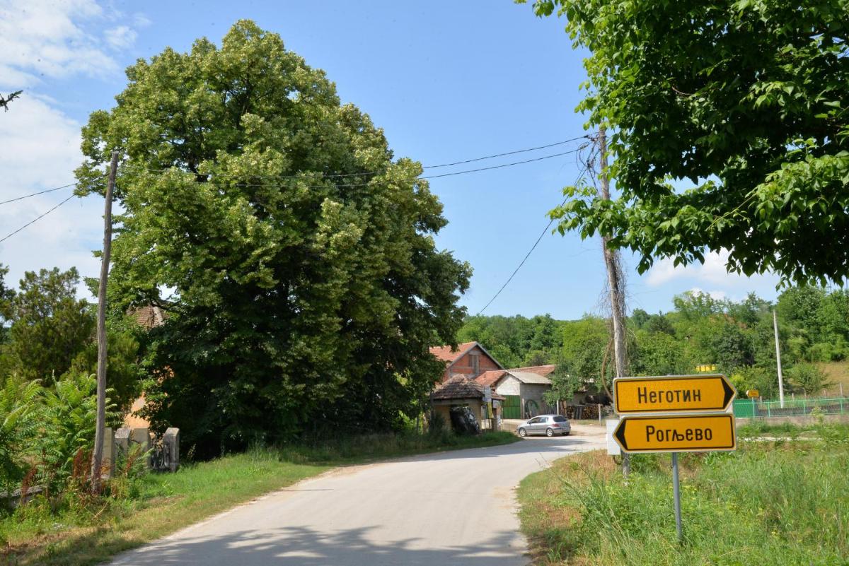 Country house Dunjin Konak view 5