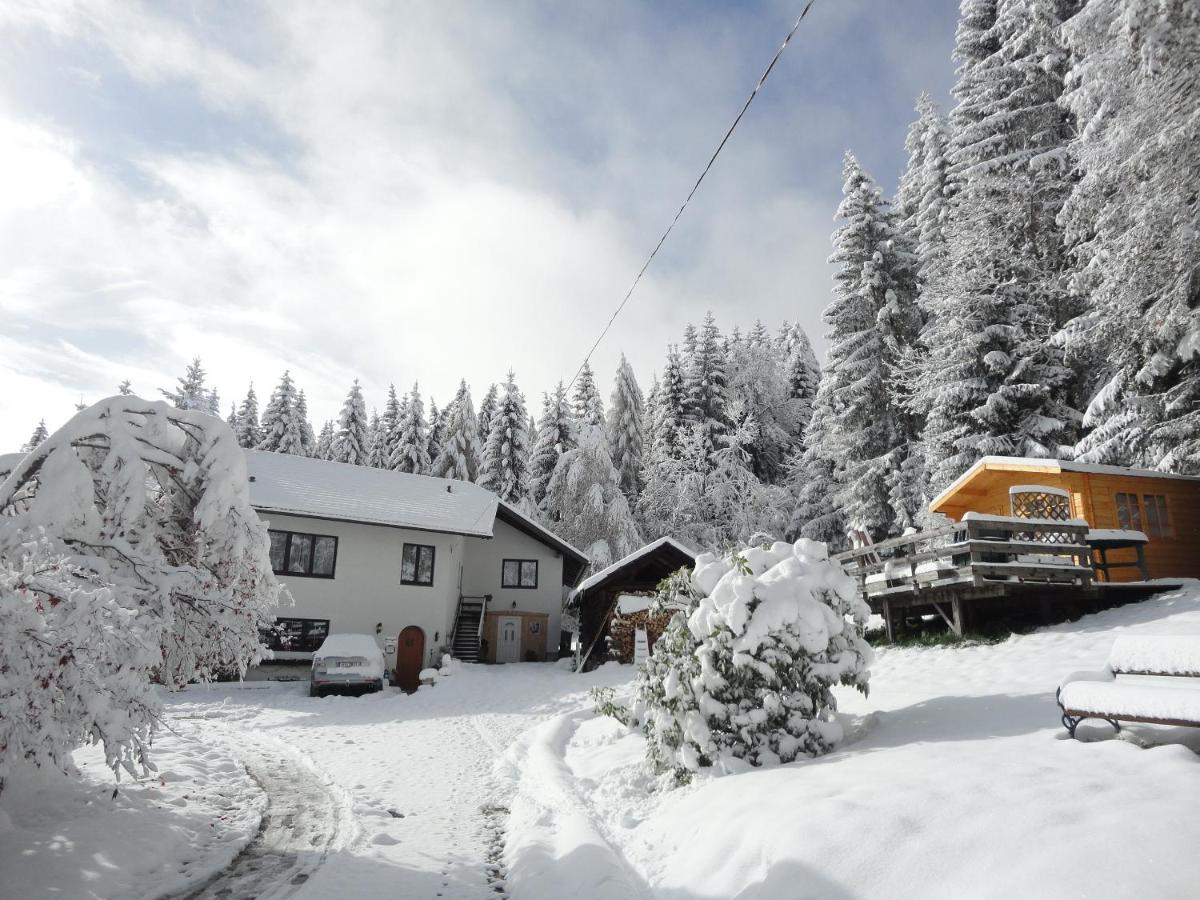 Ferienhaus Hollinger