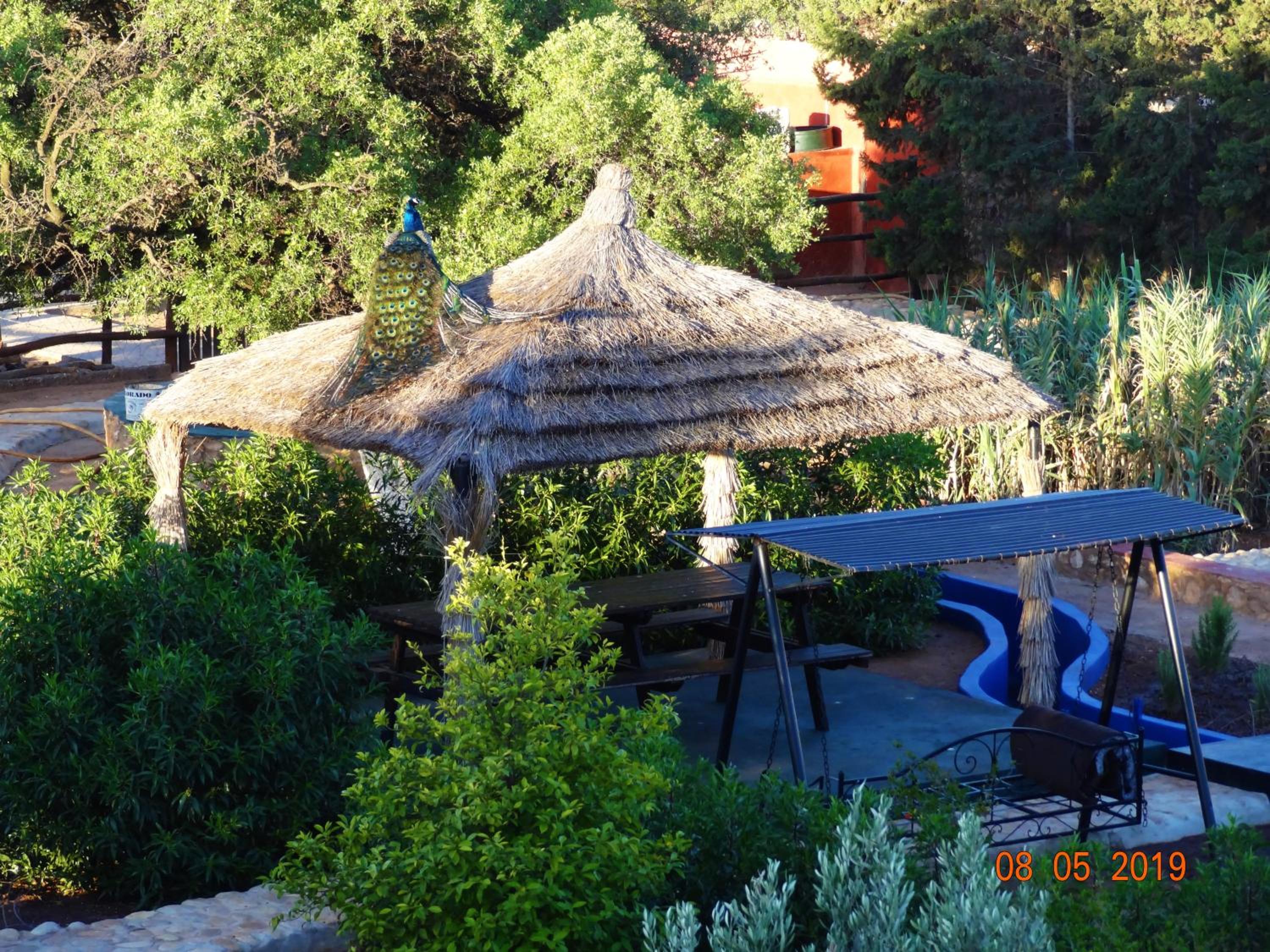 Riad les trois merveilles view 4