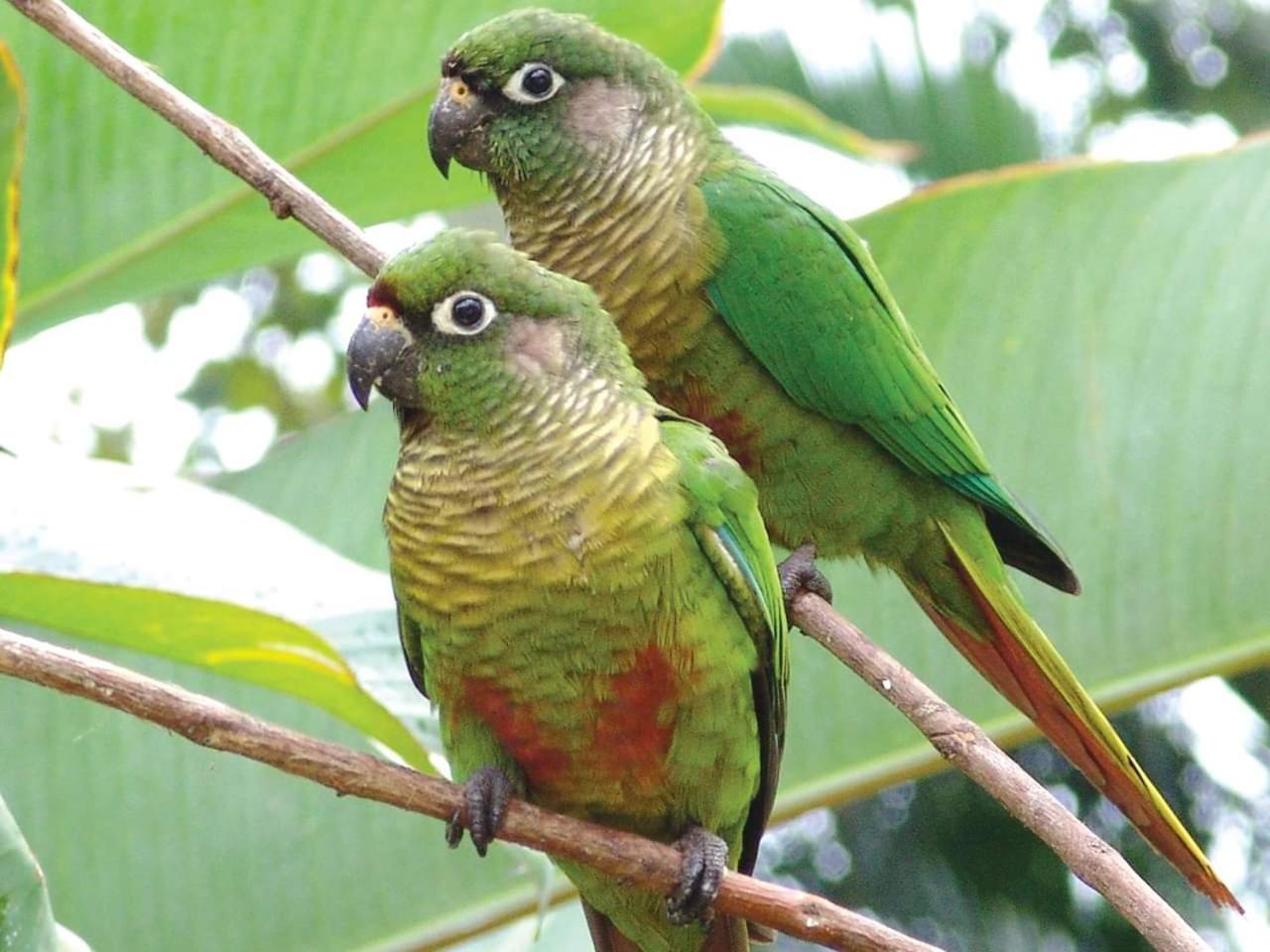 Chalé da Katia