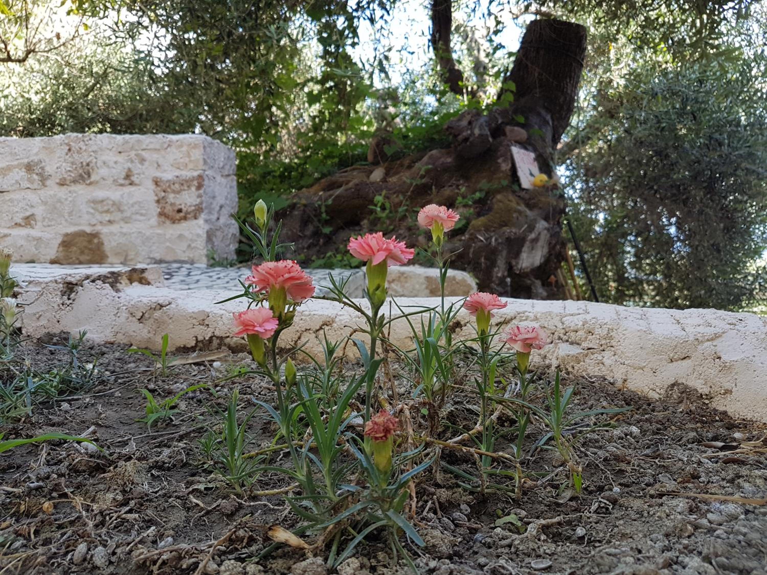 Photo 32