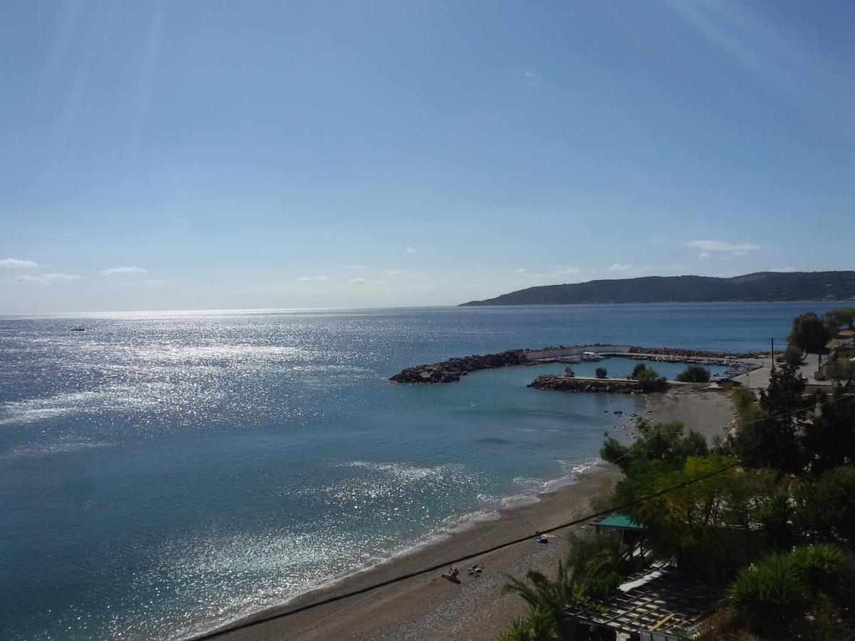 Theoxenia Chios Apartments photo 4