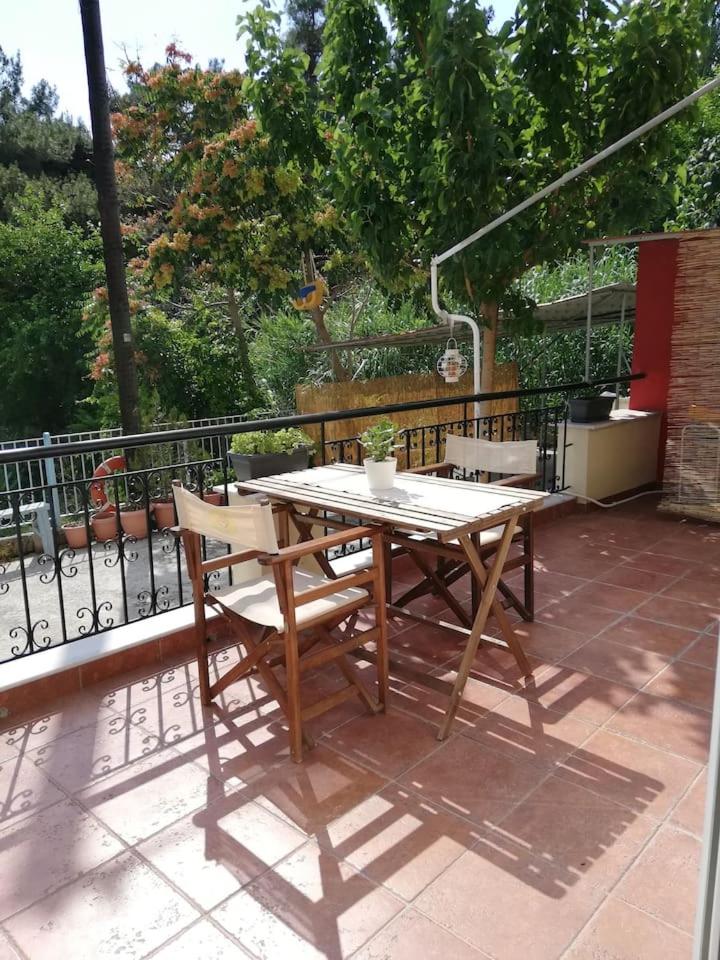 Forest 22 view 3