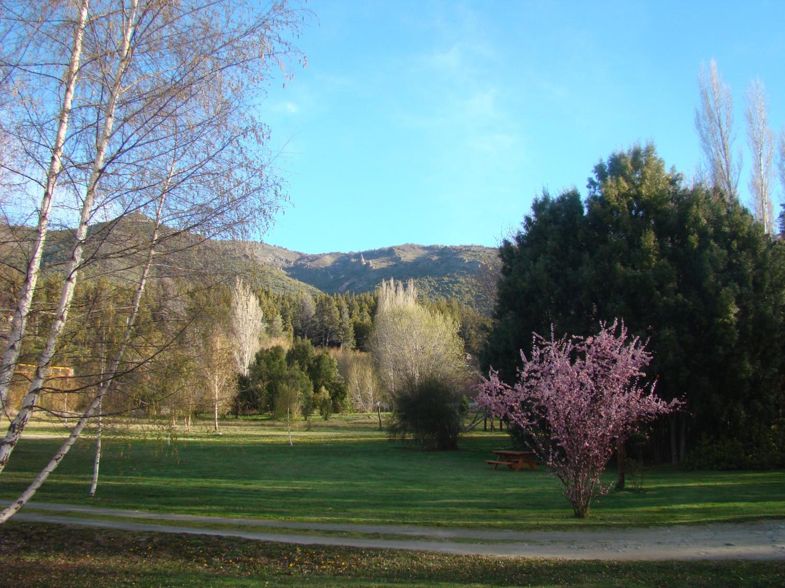 Cabañas En el Corazón del Bosque
