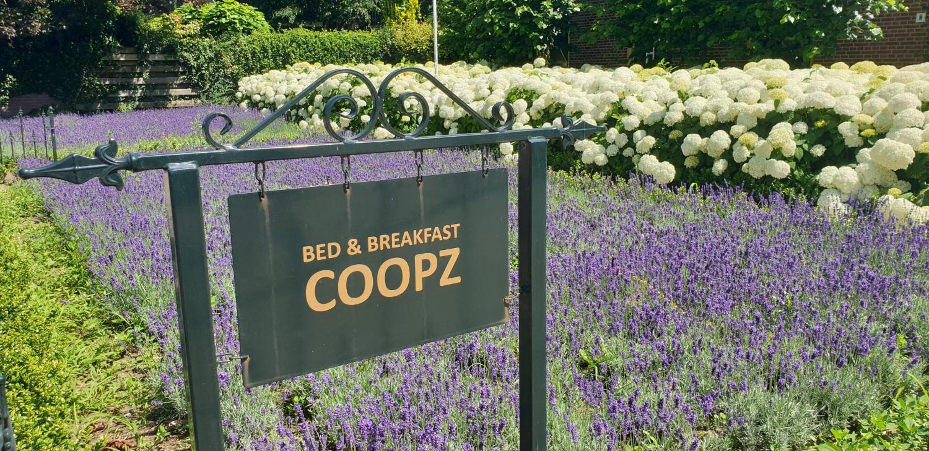 Bed & Breakfast Coopz view 3