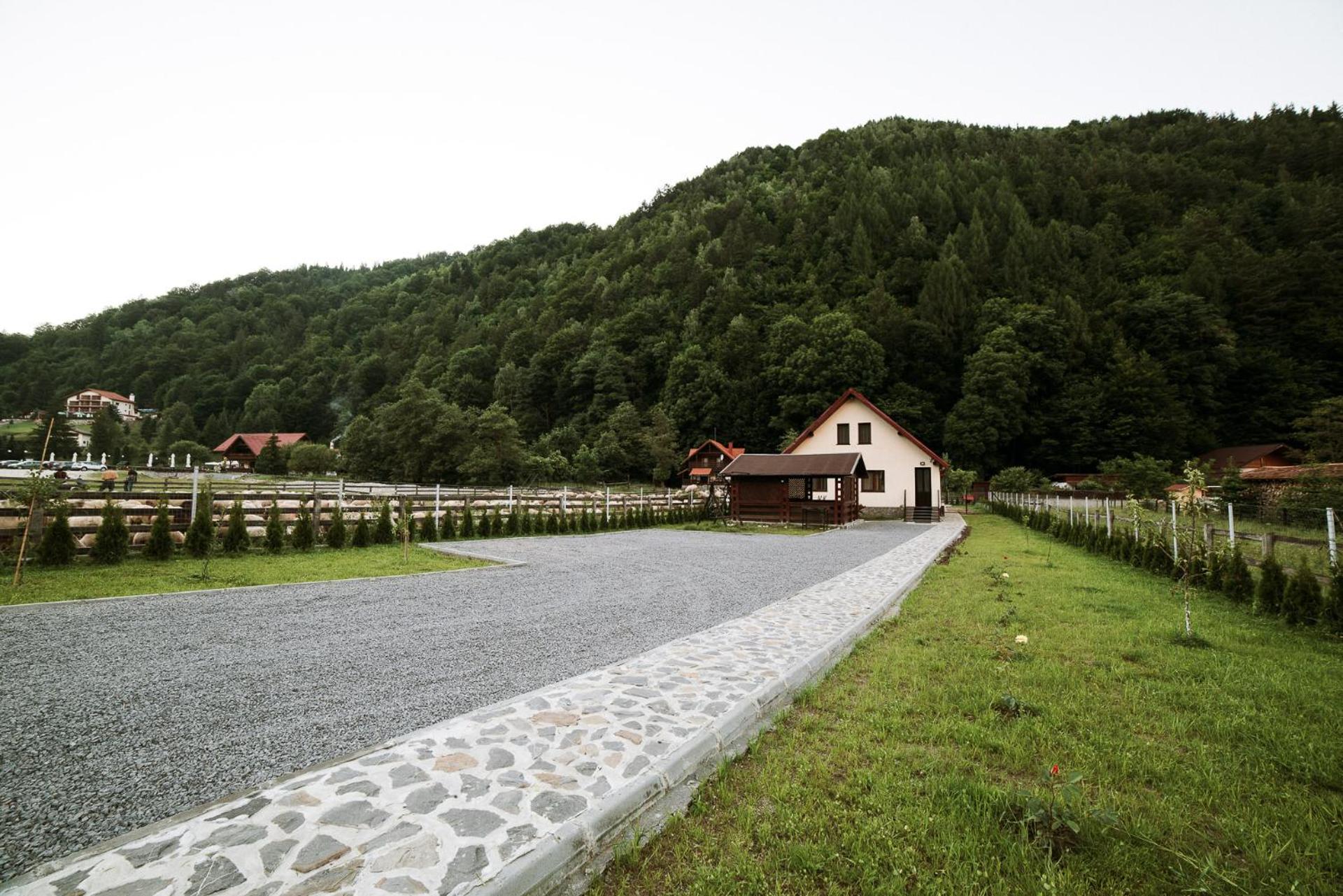Gold House Plaiul Foii view 2