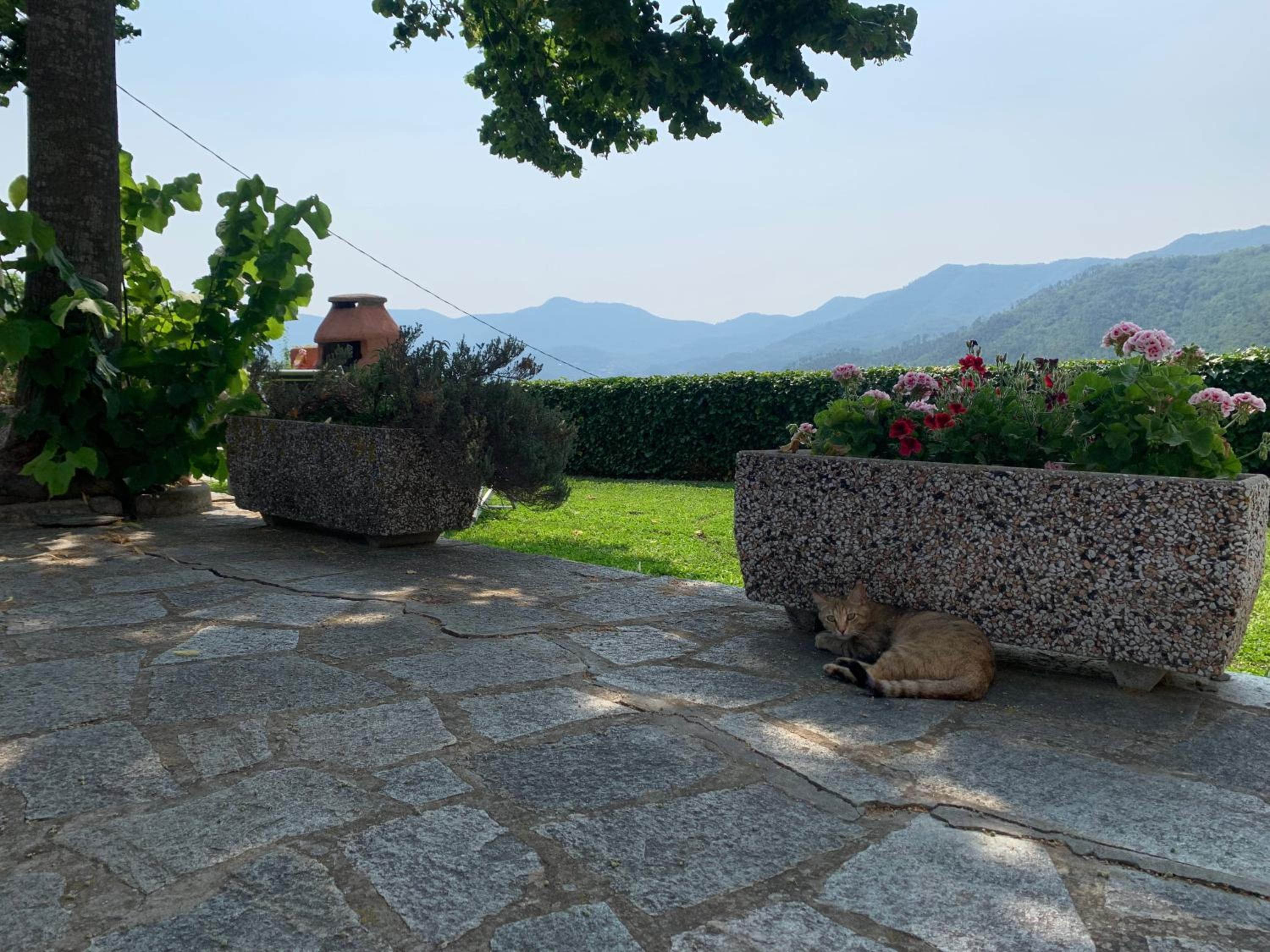 Agriturismo Gli Ulivi