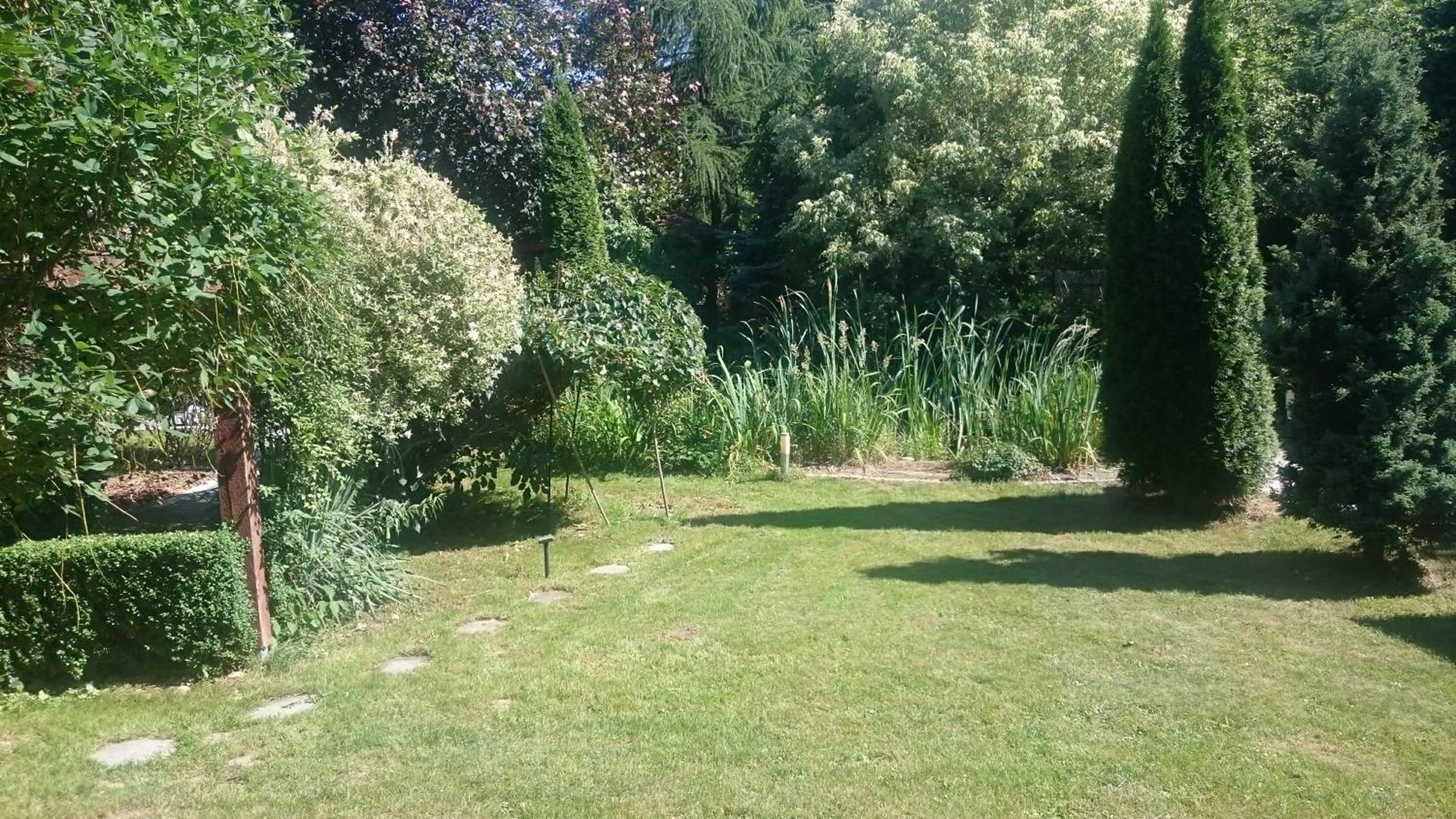 Photo 37