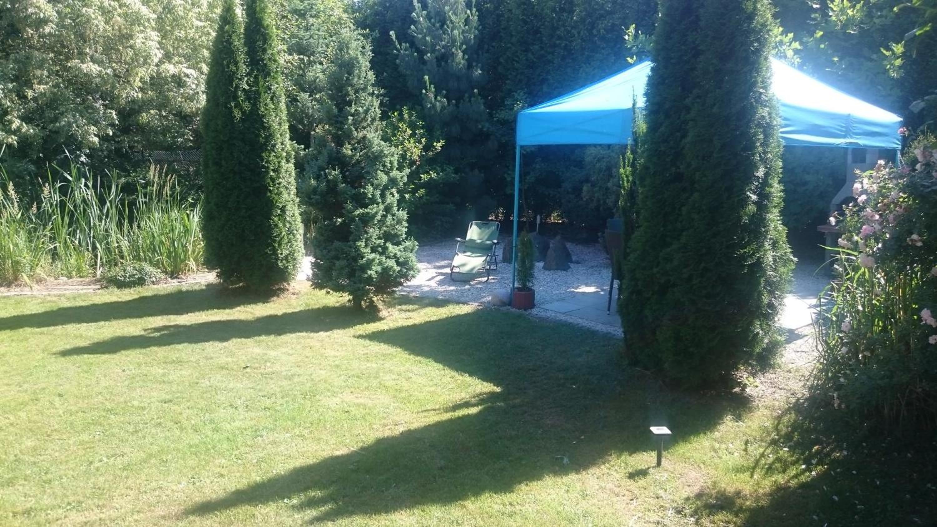 Photo 38