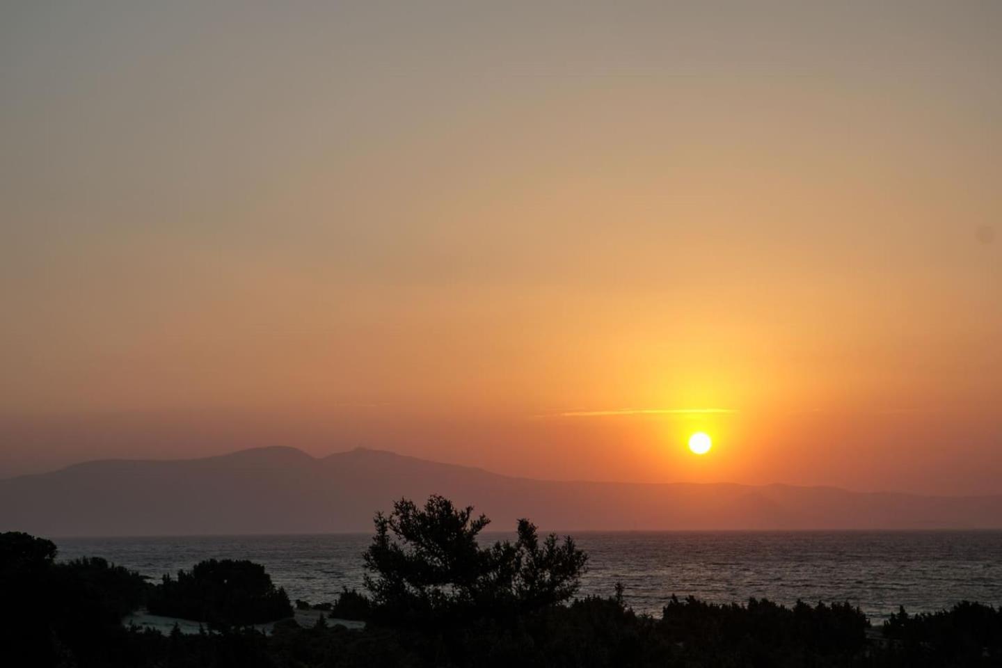 CEDAR FOREST ALYKO photo 5