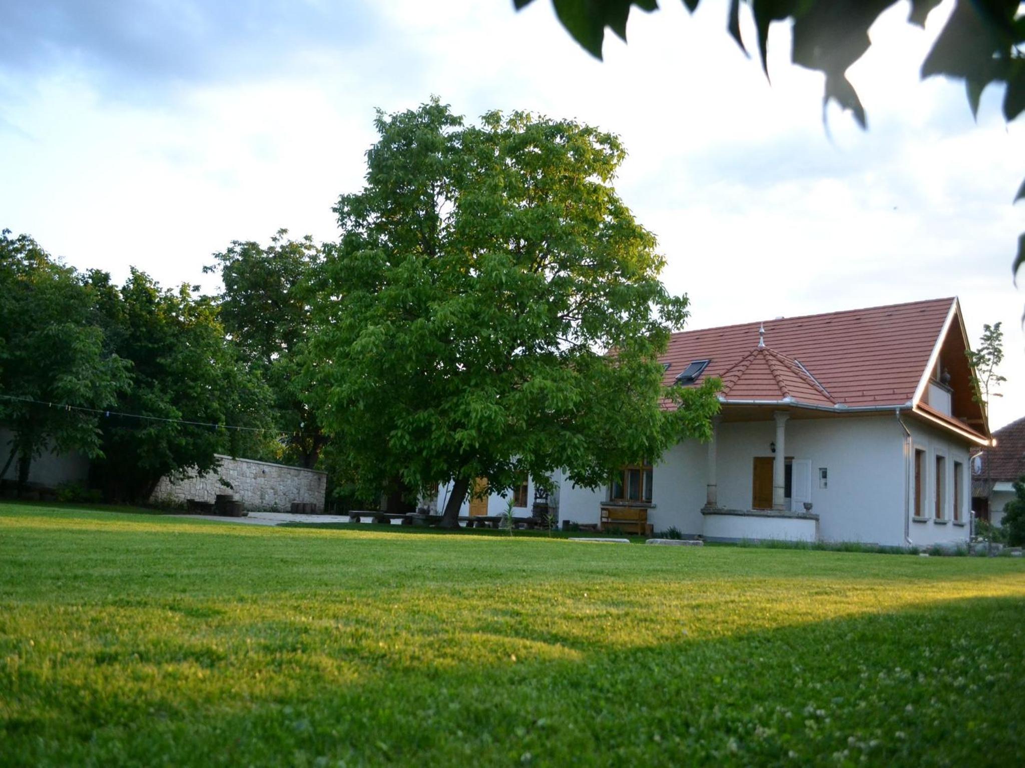 Photo 27