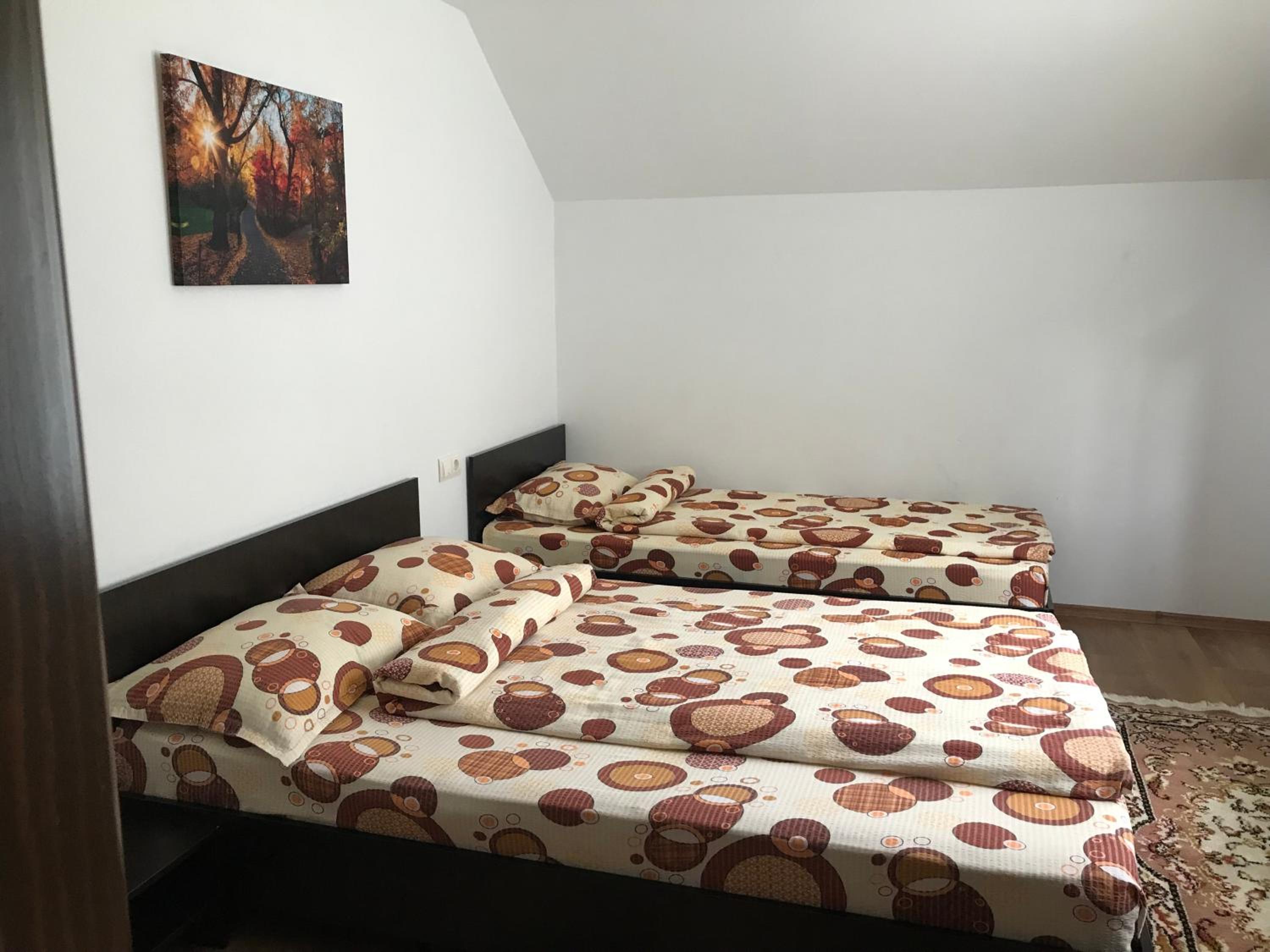 Casa de vacanta Dana