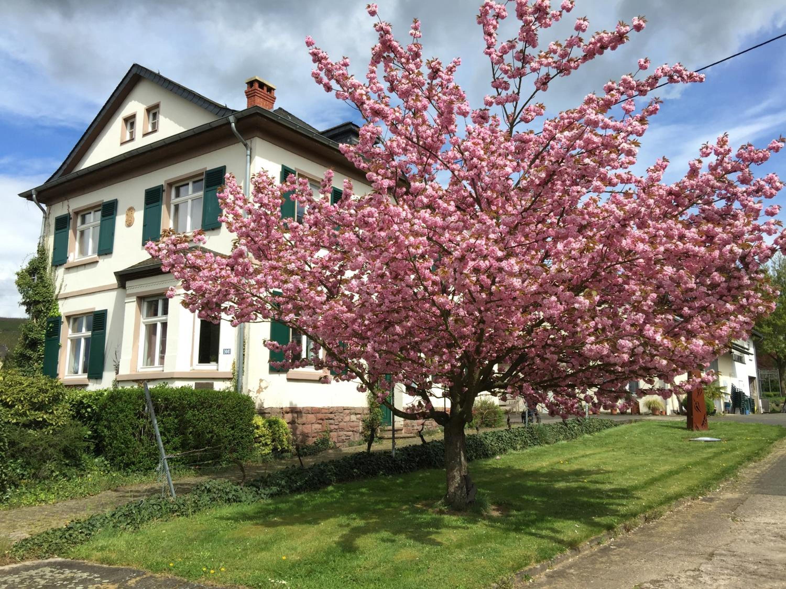 Ferienbungalow Kampenheissji